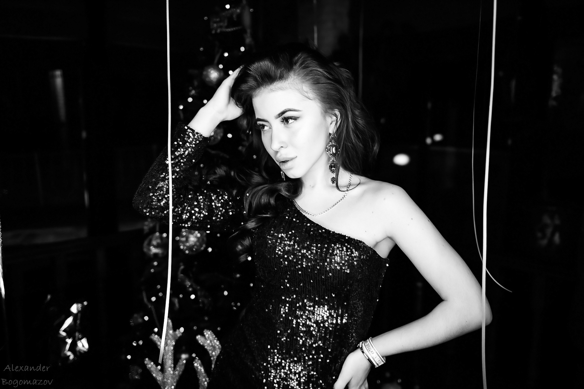 Новый год 2018/2019. Свадебный фотограф в Крыму Александр Богомазов