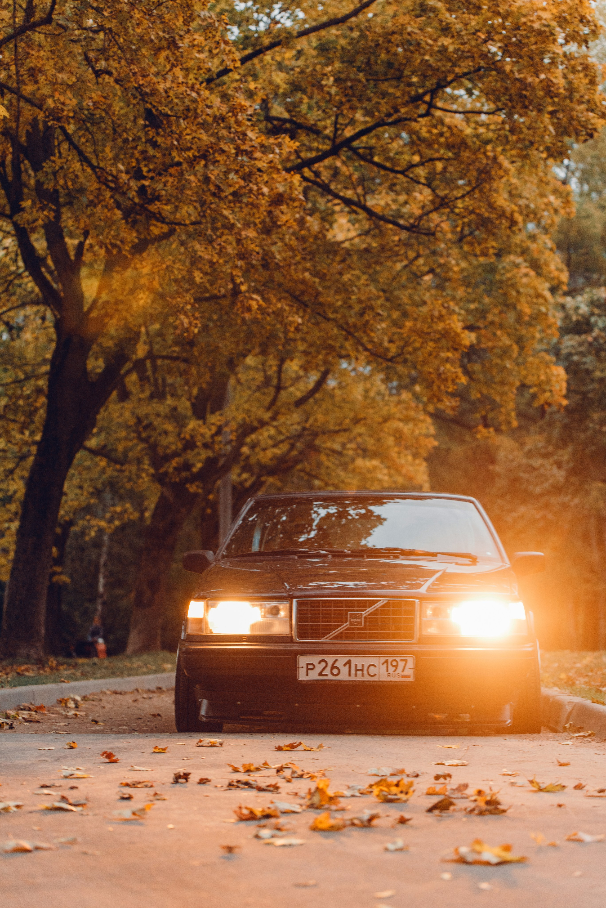 M+V autumn. DeLorein