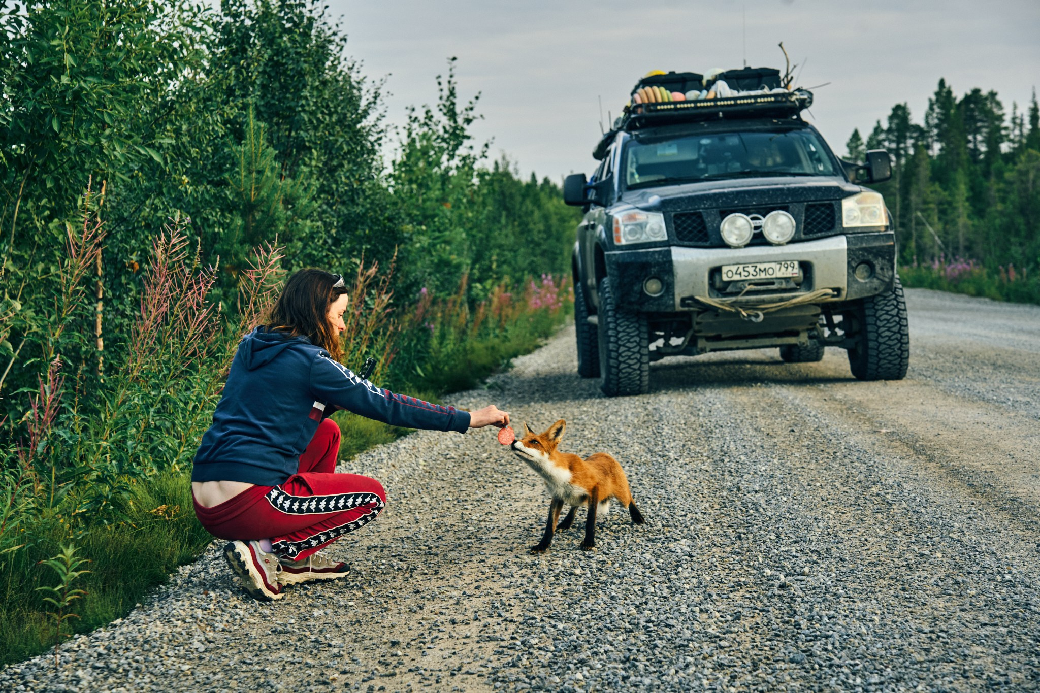 Путешествие на Север в 2023 году. Внедорожные путешествия — OFFROADTRIP