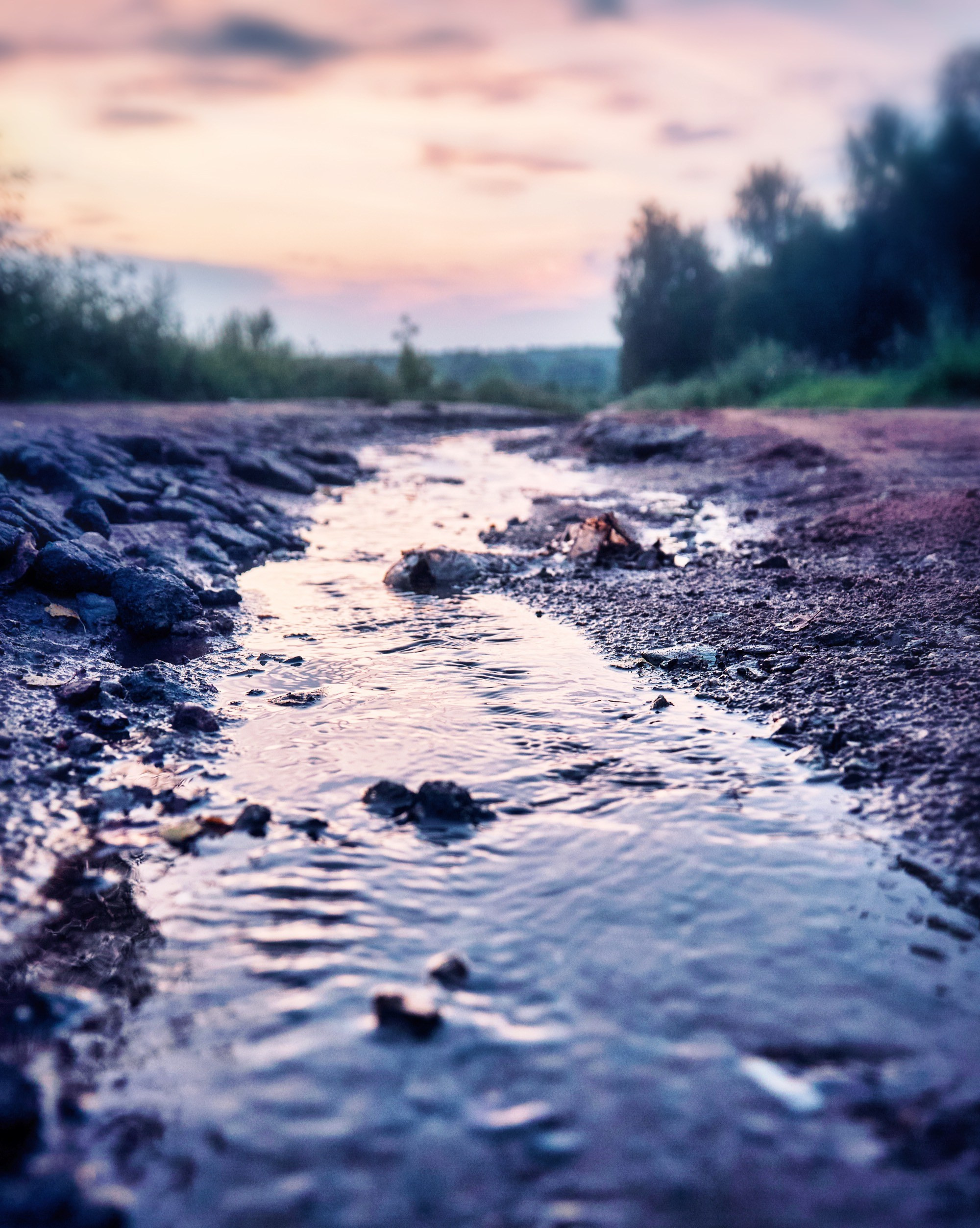 Nature. Фотограф Арсений Королев