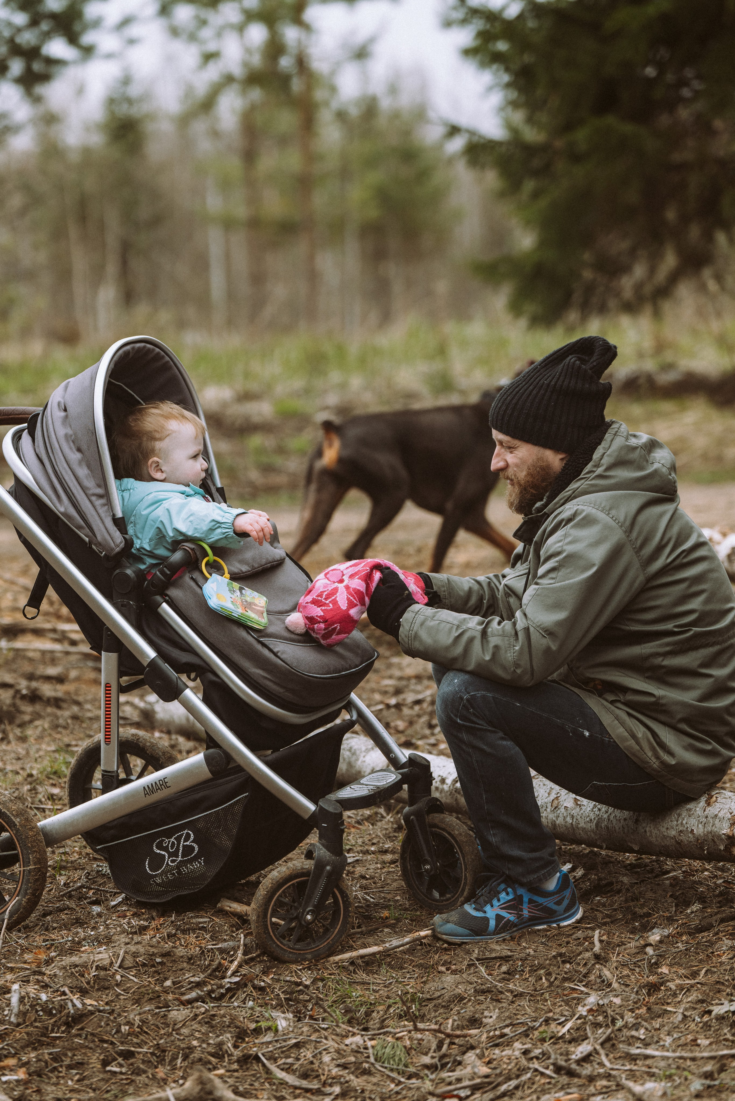 Дог трекинг к финскому хутору. Фотограф анималист в Спб недорого Олеся Майорова
