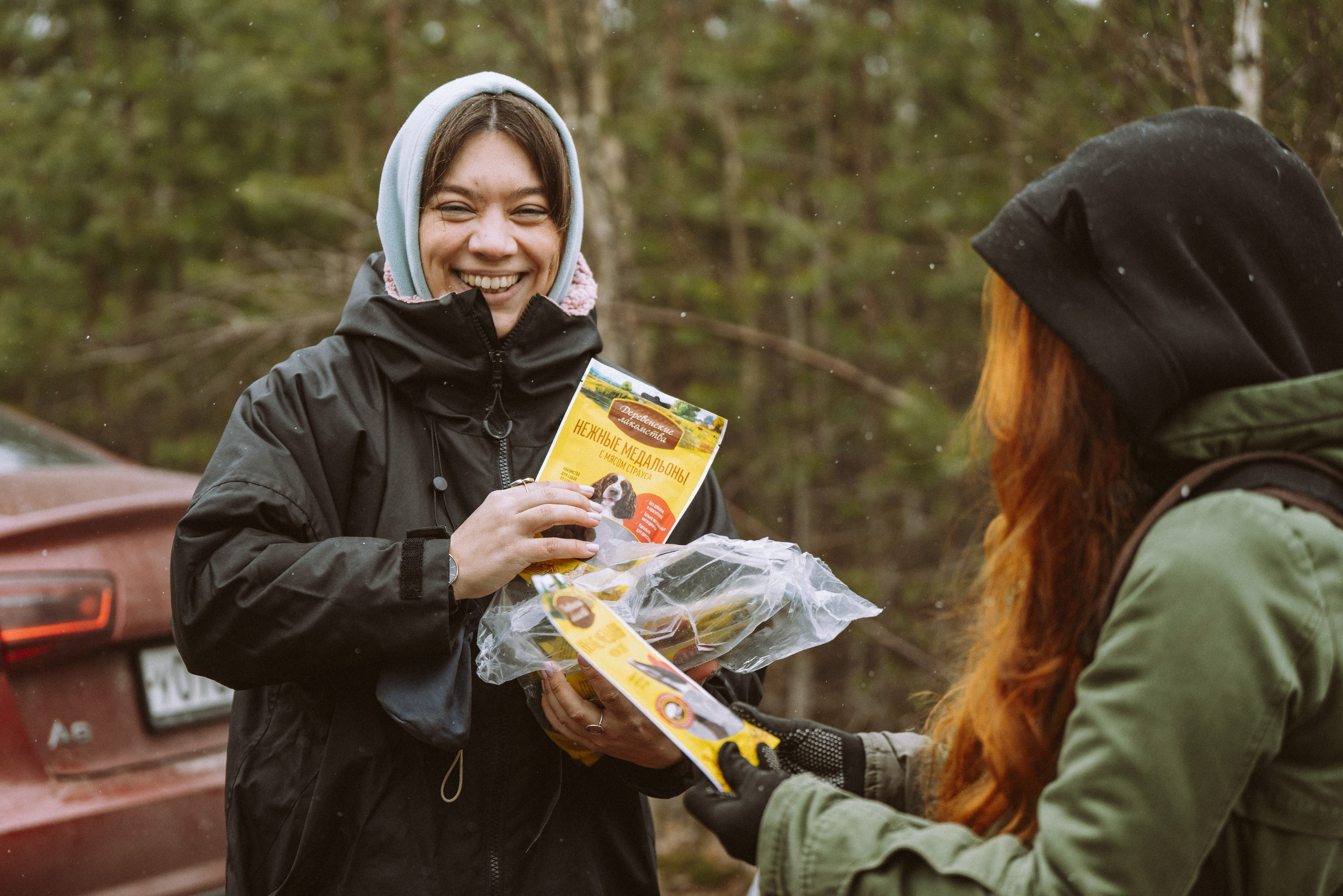 Дог трекинг к финскому хутору. Фотограф анималист в Спб недорого Олеся Майорова