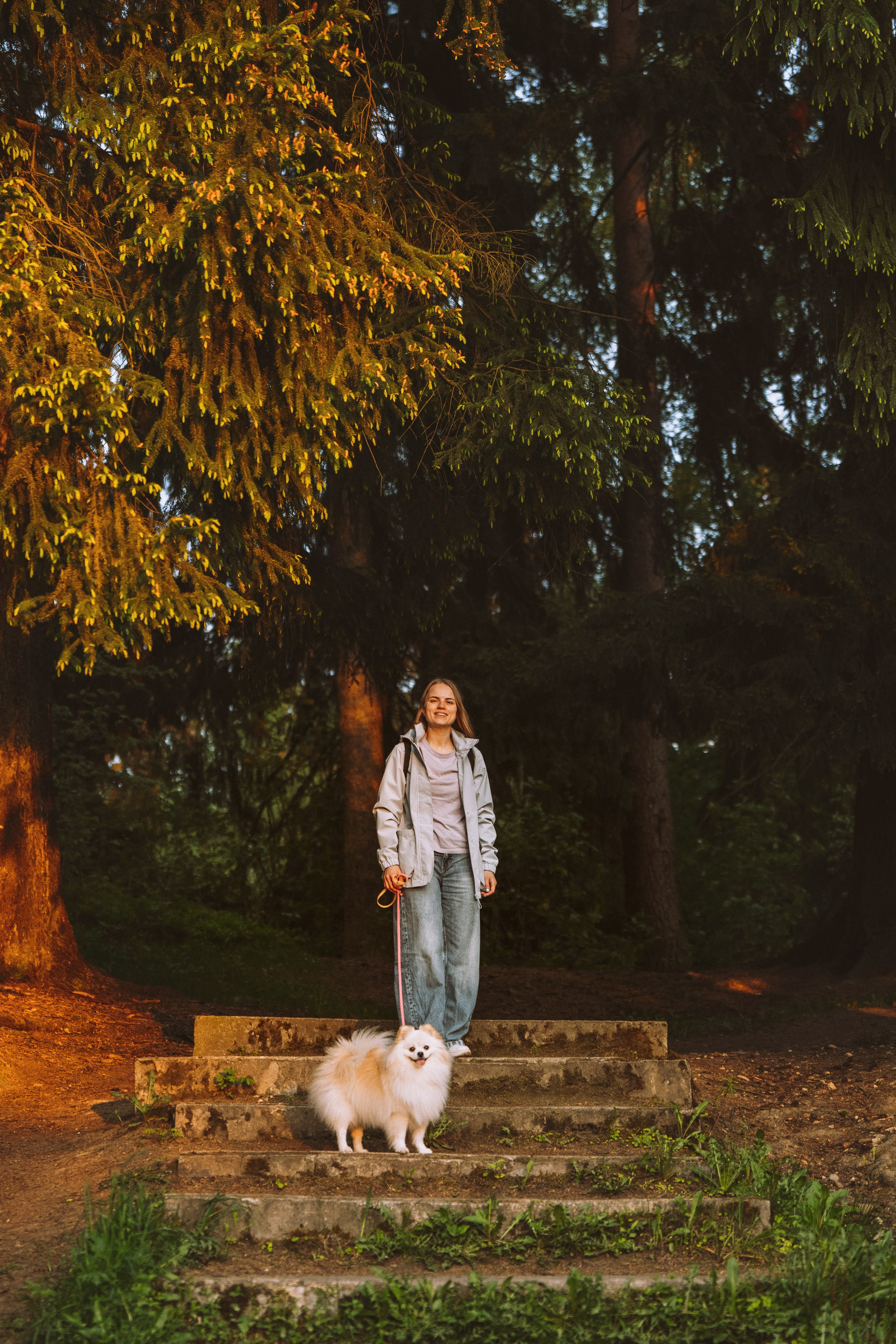 Фотосессия с собачкой в лесу. Фотограф анималист в Спб недорого Олеся Майорова