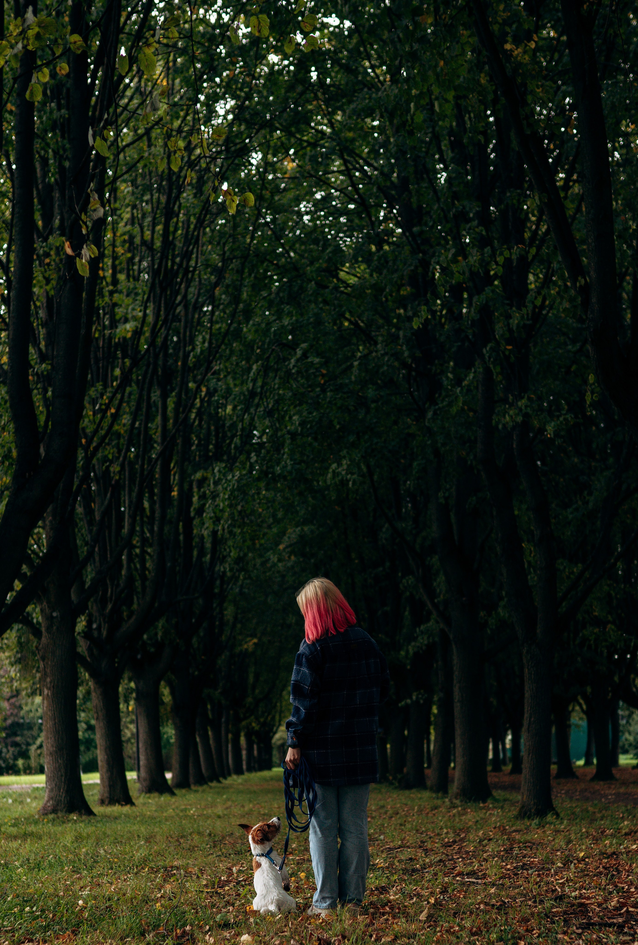 Фотосессия с маленькой собакой Спб. Фотограф анималист в Спб недорого Олеся Майорова