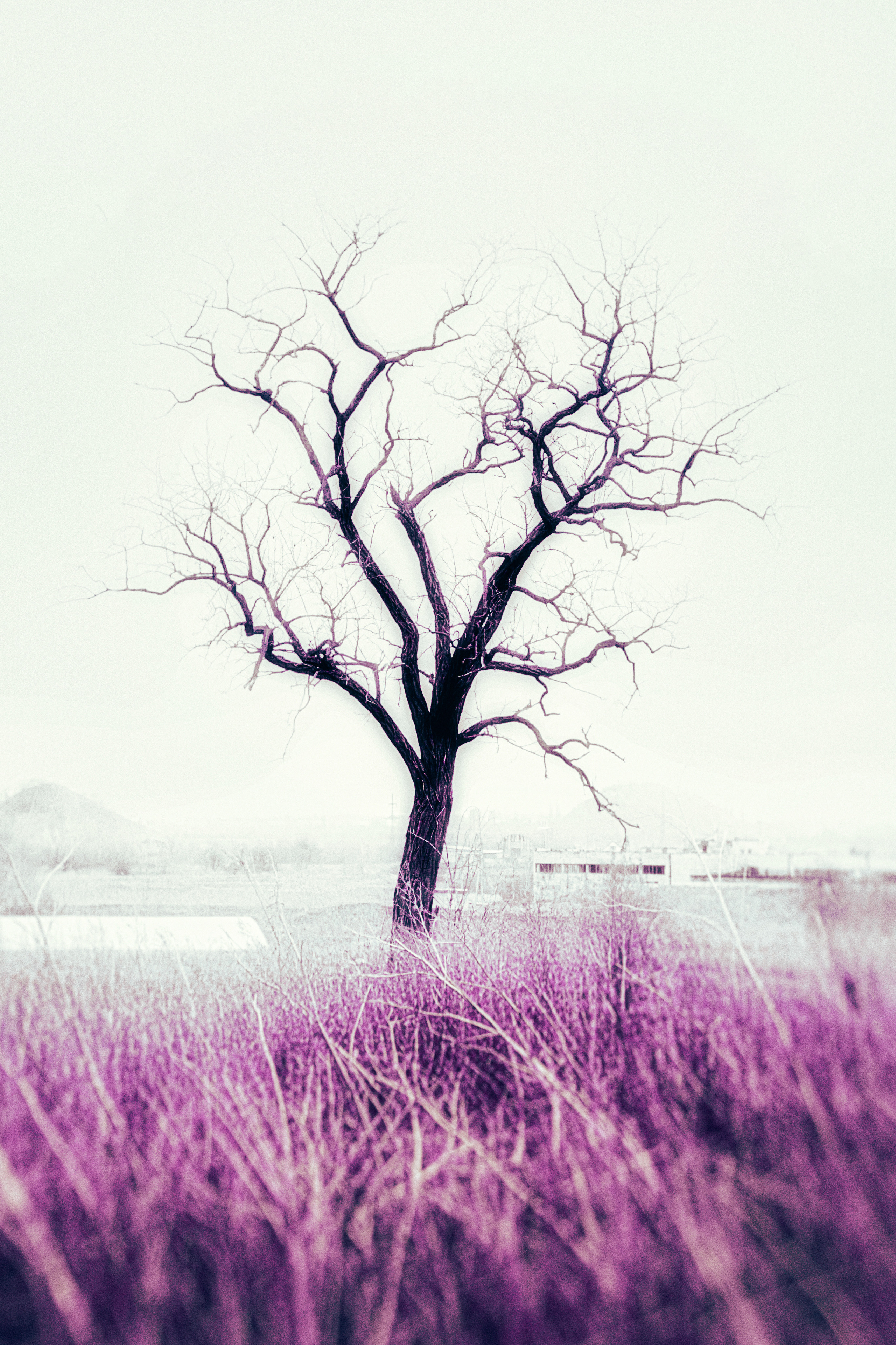 Landscape - пейзажная фотография, фотограф Аксёнов Алексей. Бизнес, мужской фотограф в Краснодаре | Аксёнов Алексей Владимирович