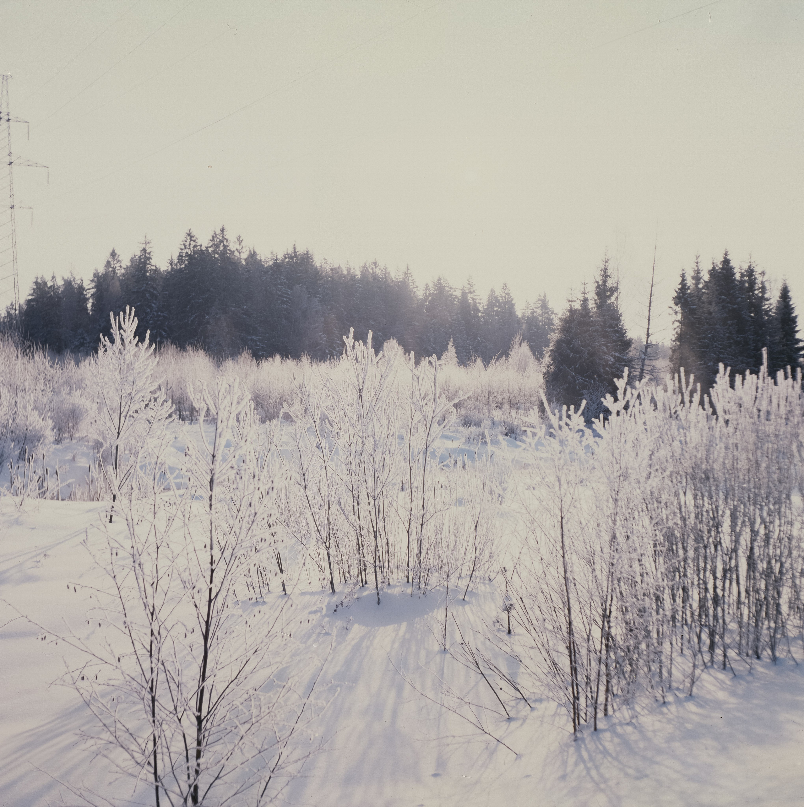 Welta Weltax — Fujichrome ASTIA 100 (at ISO 50) — Лукино морозное утро