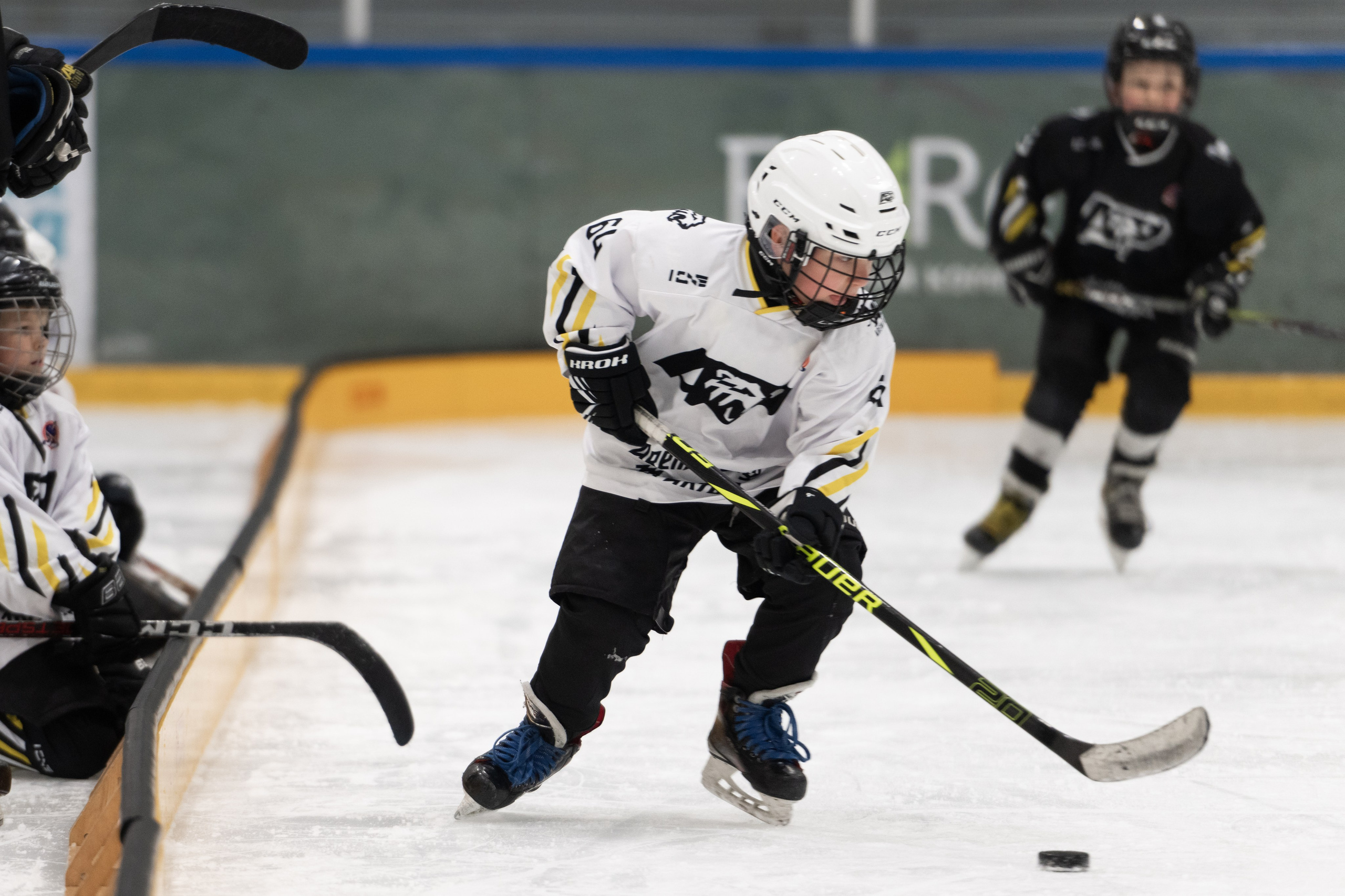 МК Артемия ПАНАРИНА. ДИНА МИХНЕВА спортивный фотограф Москва