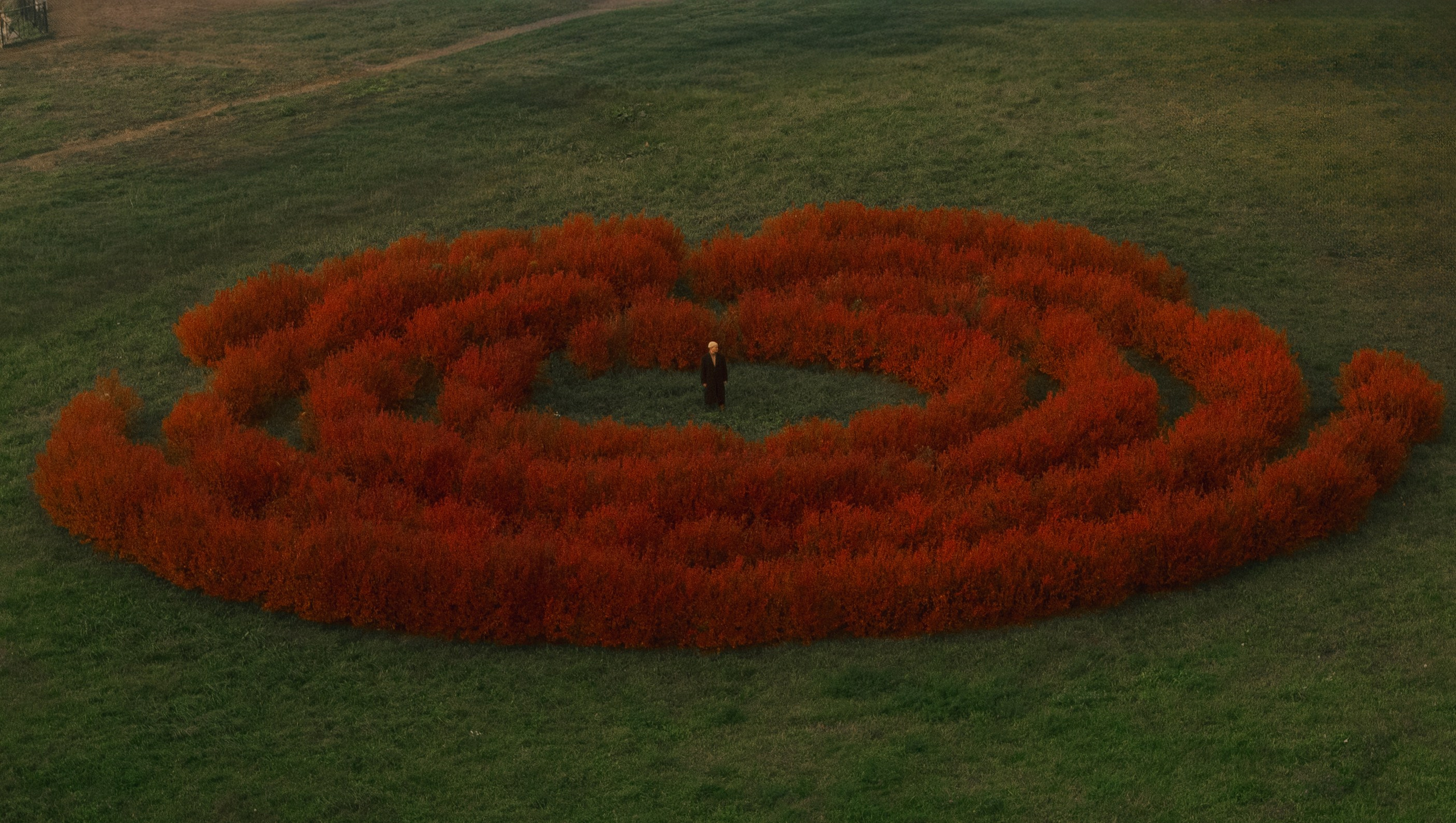 лабиринт фото сверху