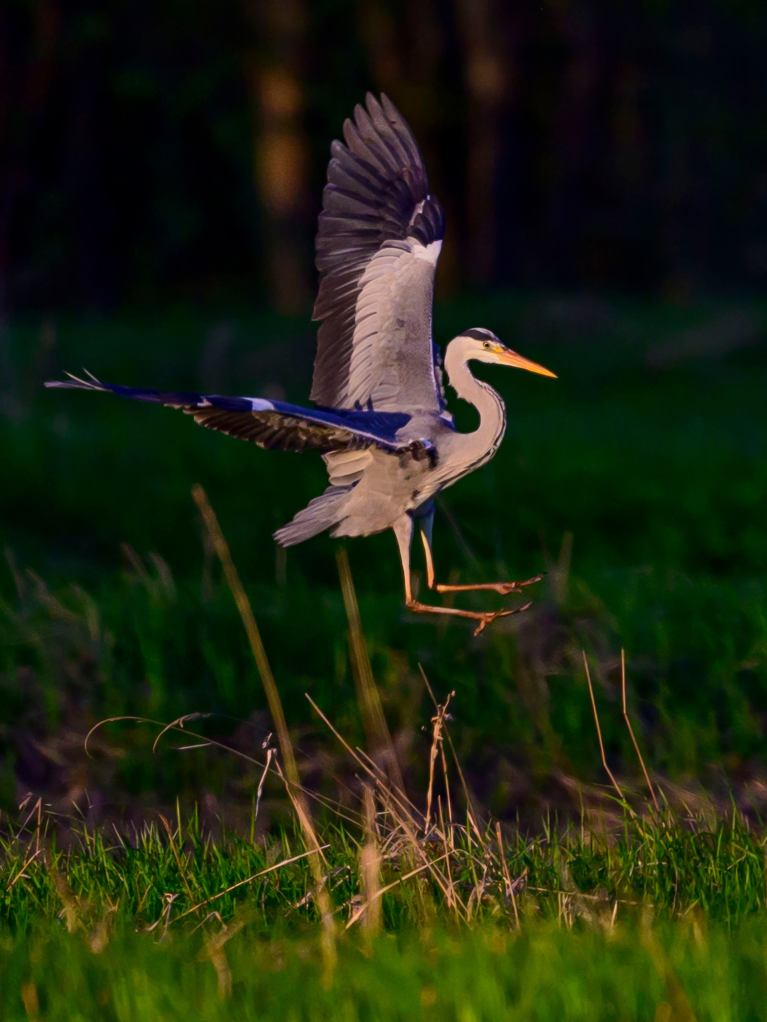 Дмитров. Фотограф Сергей Пупонин