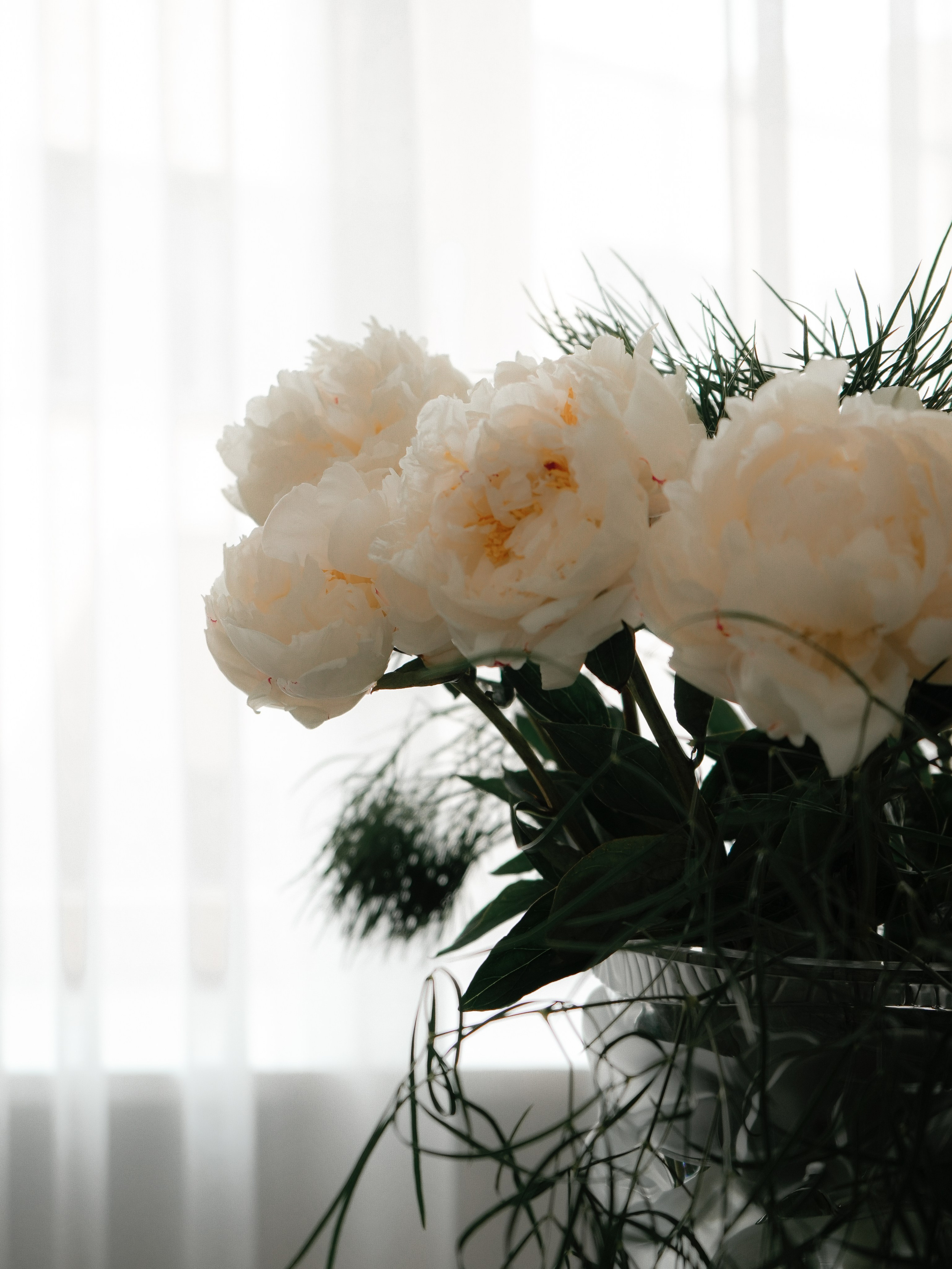 Светлана. Дизайн интерьера. Norikyan Diana