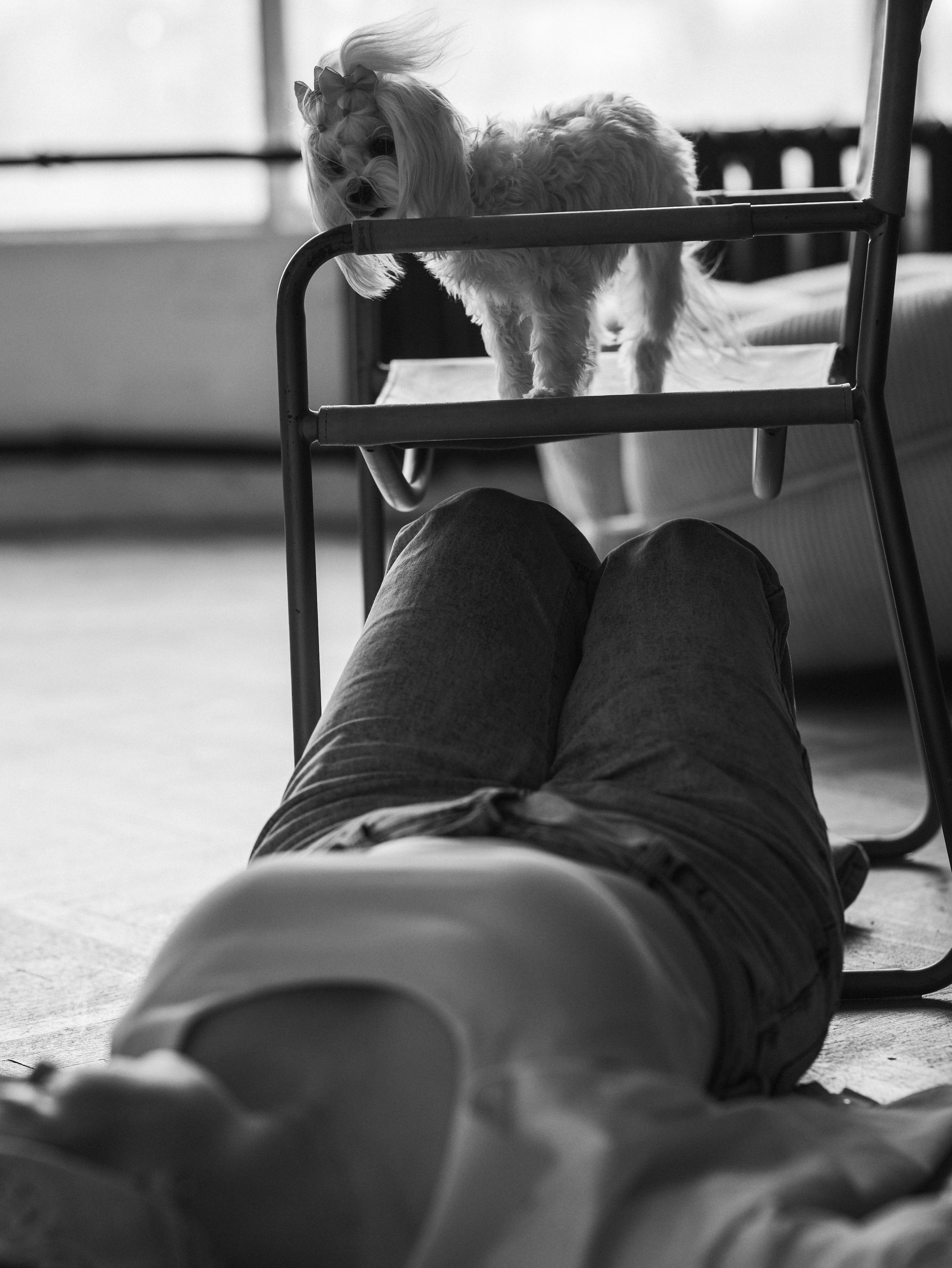 Мира и Таня. Фотограф-анималист в Москве Кириллова Татьяна