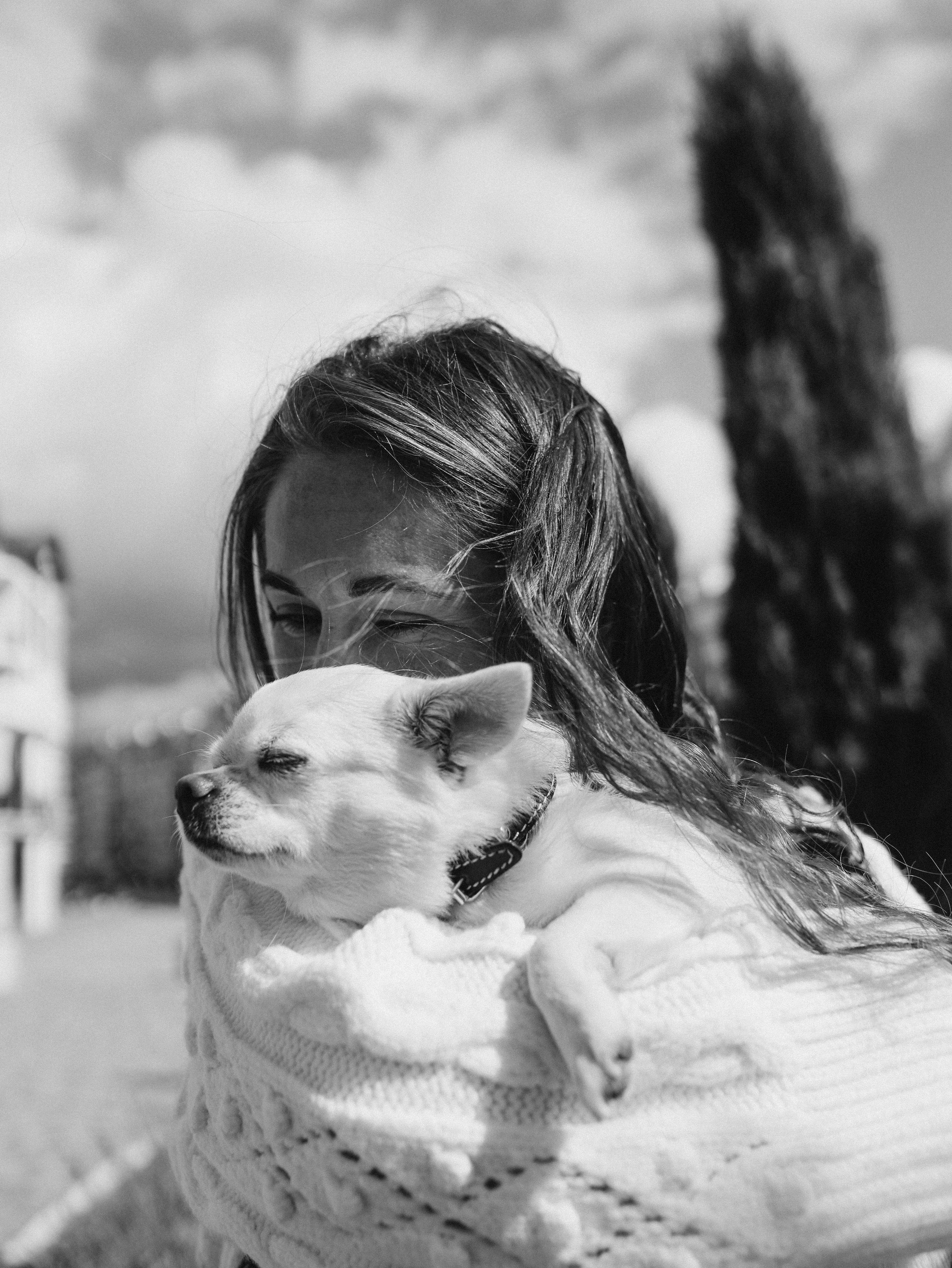 Зефир и Алена. Фотограф-анималист в Москве Кириллова Татьяна