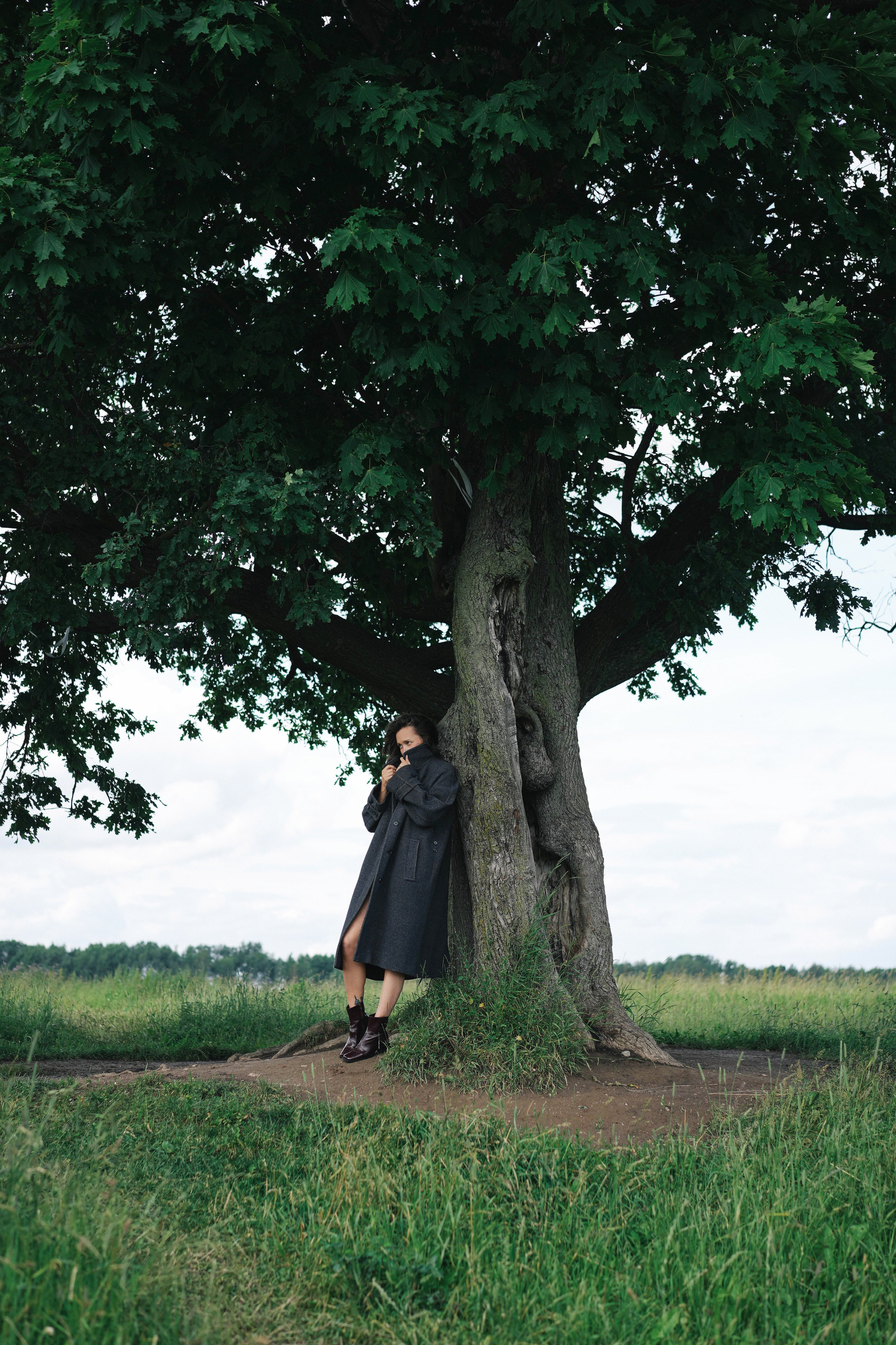 Дуб и клён. Ксения Копна. Фотограф из Санкт-Петербурга