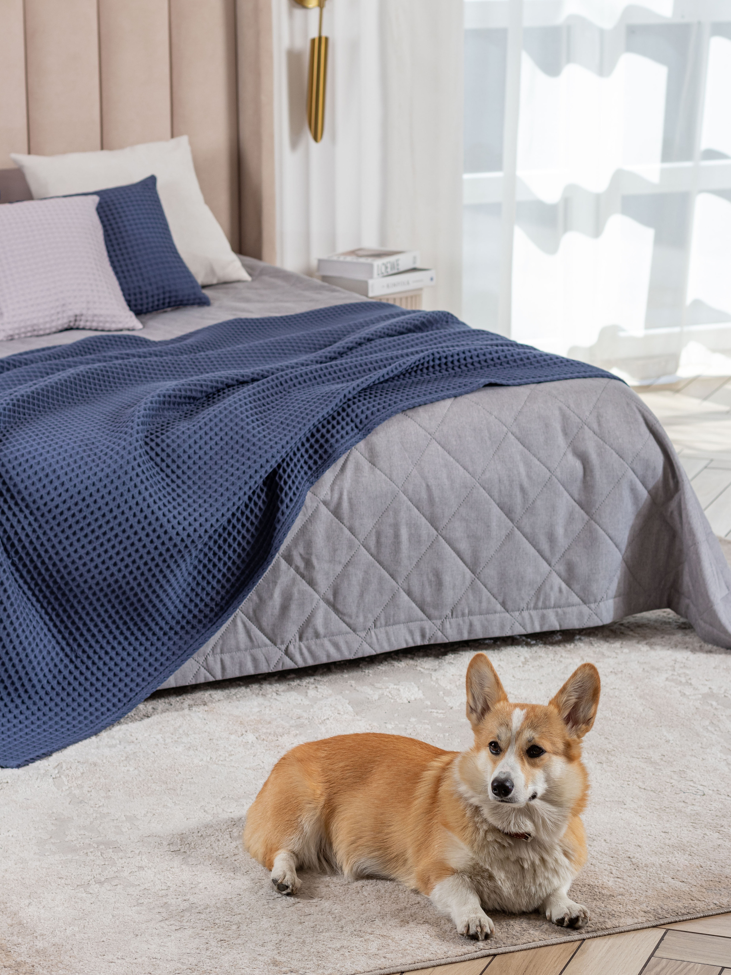 Тонкости съёмки в студии. Предметный фотограф Северова Екатерина | Профессиональная предметная съёмка фото и видео в Санкт-Петербурге