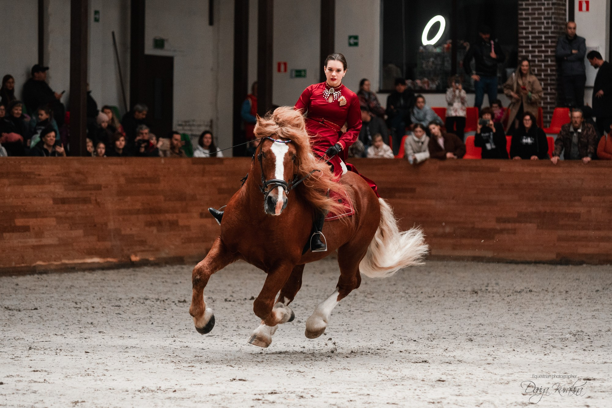8-я международная выставка Конная Россия. Конный фотограф Куракина Дарья • Фотосессии с лошадьми
