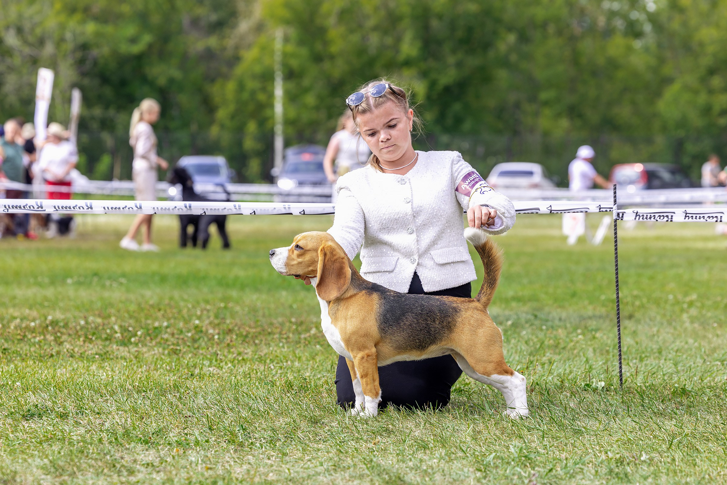 2–3 августа 2025, Выставка РКФ, г. Пермь. Htykk_photo