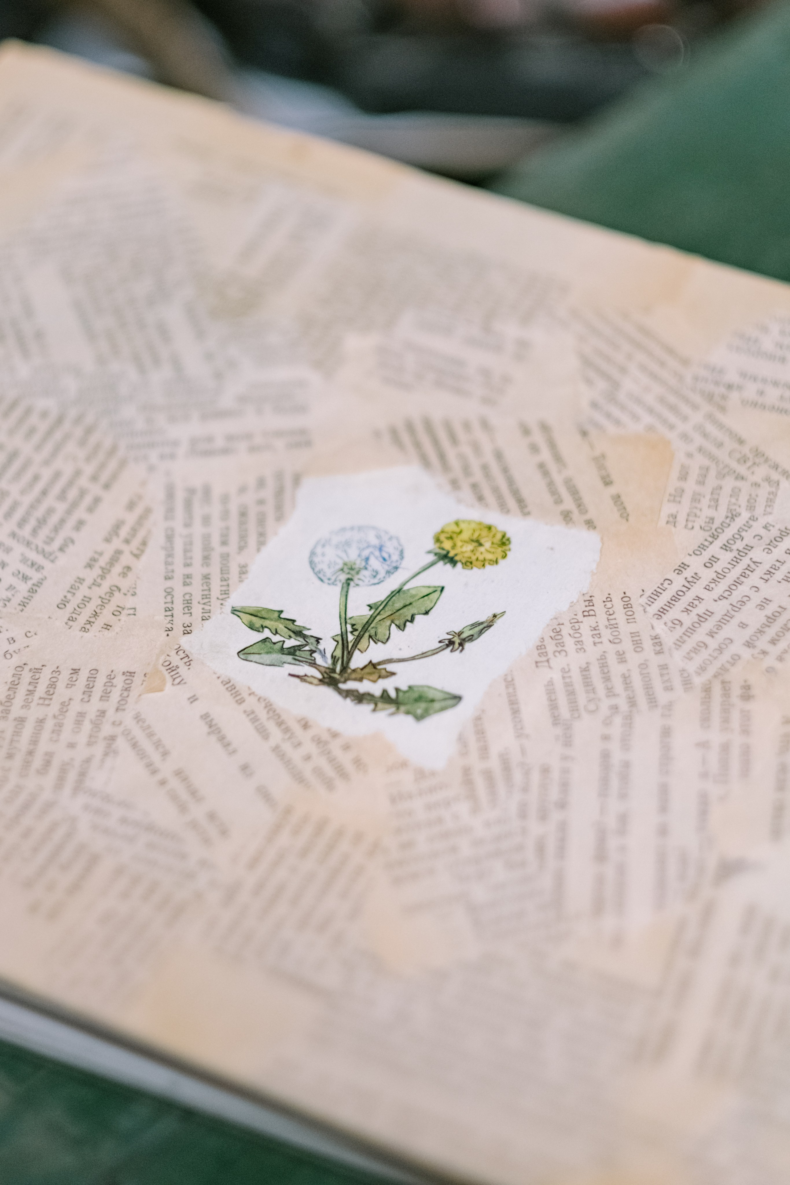 Туапсе. Свадебный Видеограф Фотограф в Сочи