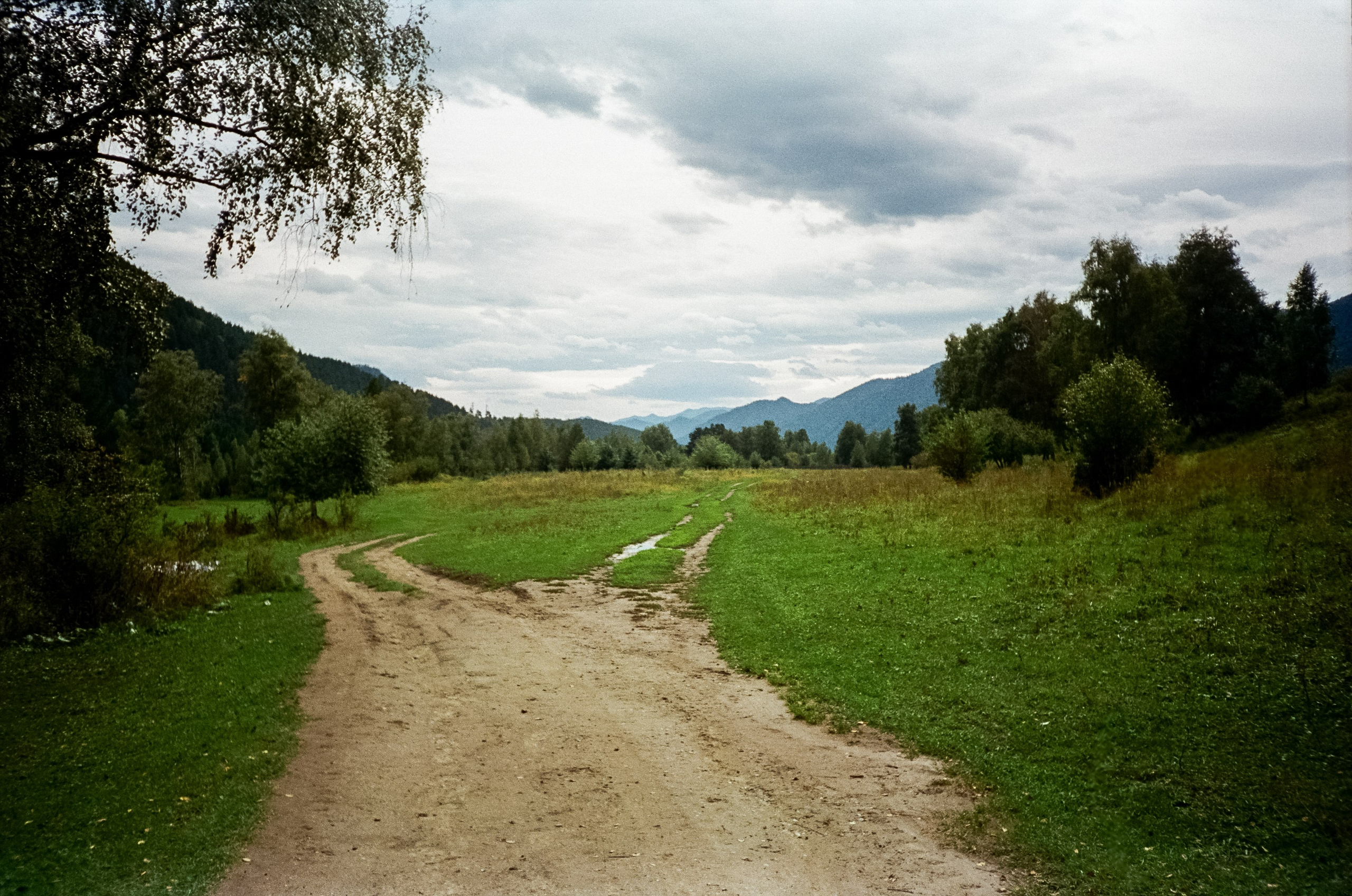 Зубы Дракона и солнечный подарок. Сад пионов. Фотограф-документалист Мария Осокина