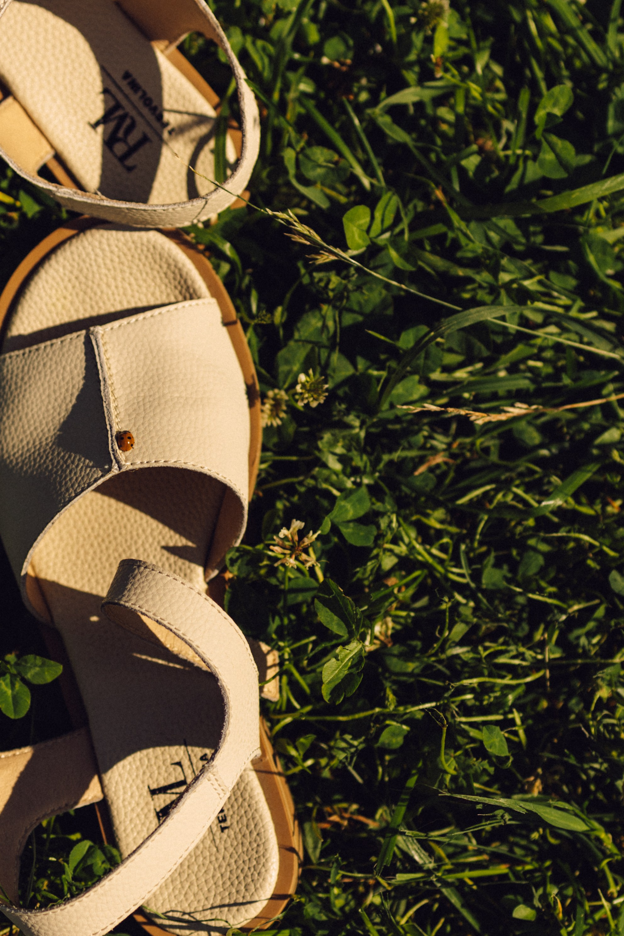 Парк. Фотограф в Москве и Домодедово Ирина Коростелева