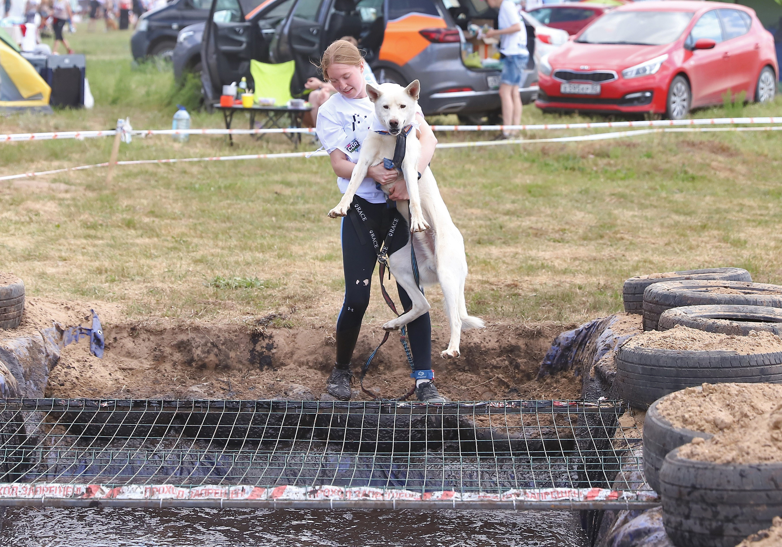 Хвостатый драйв. Семейный и детский фотограф в Москве и МО Елена Москвичева