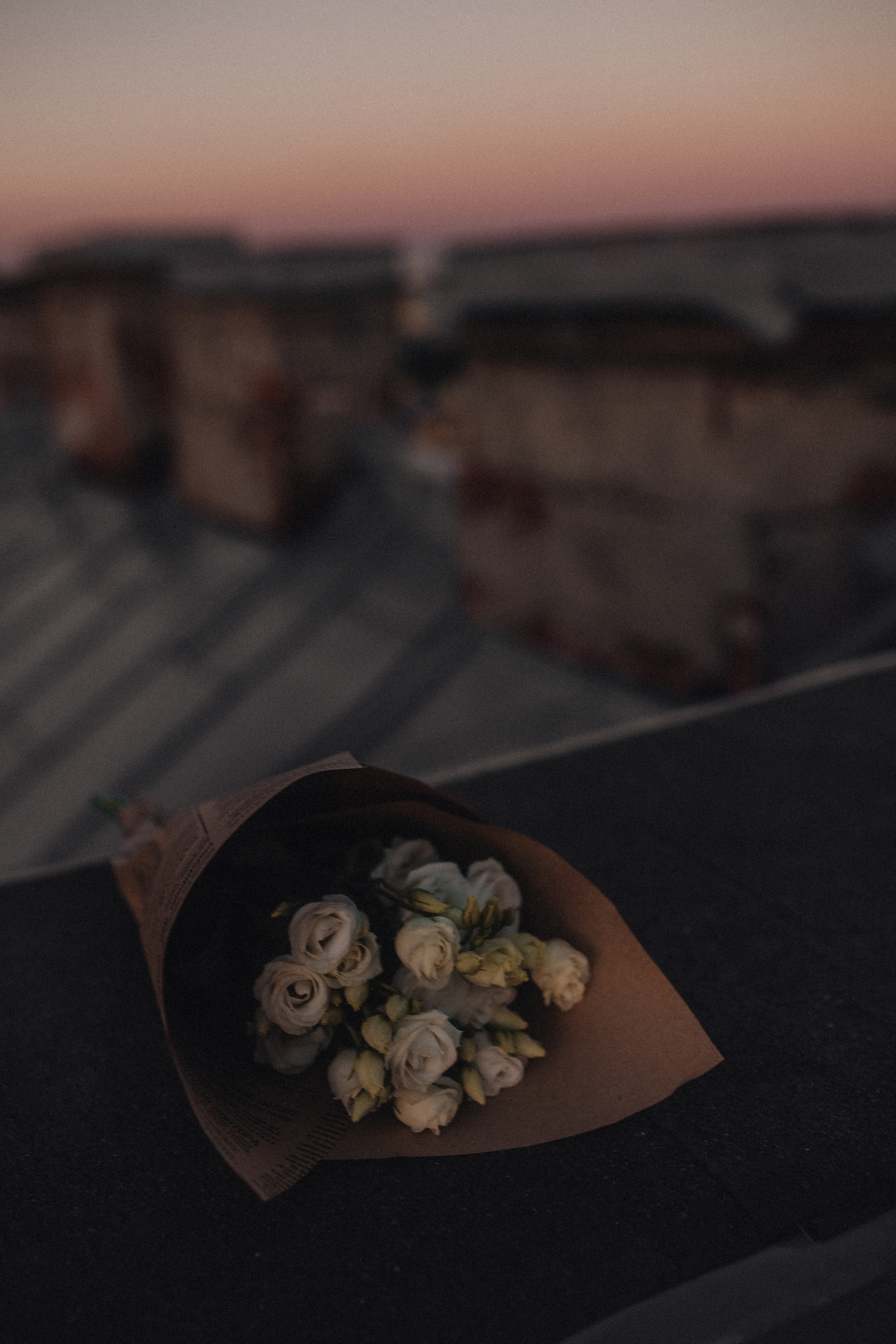 Мы гуляли по крышам Питера. Фотограф в Санкт Петербурге Лара Великова