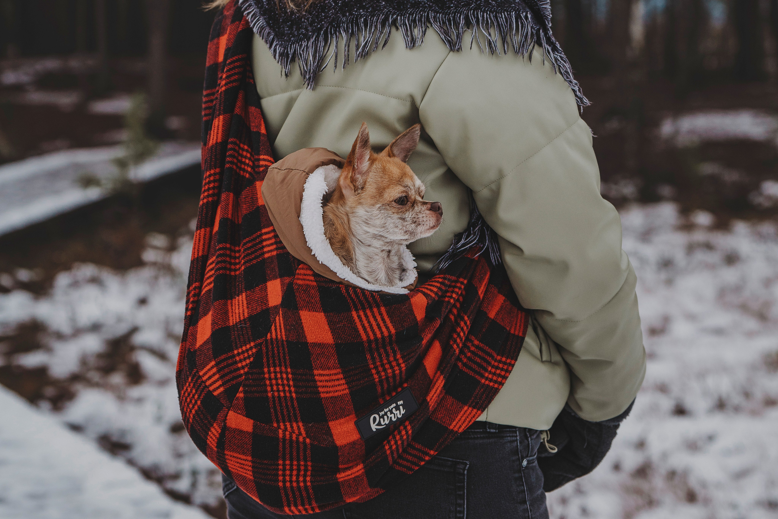 Наталия и Боря. Фотограф анималист в Спб недорого Олеся Майорова