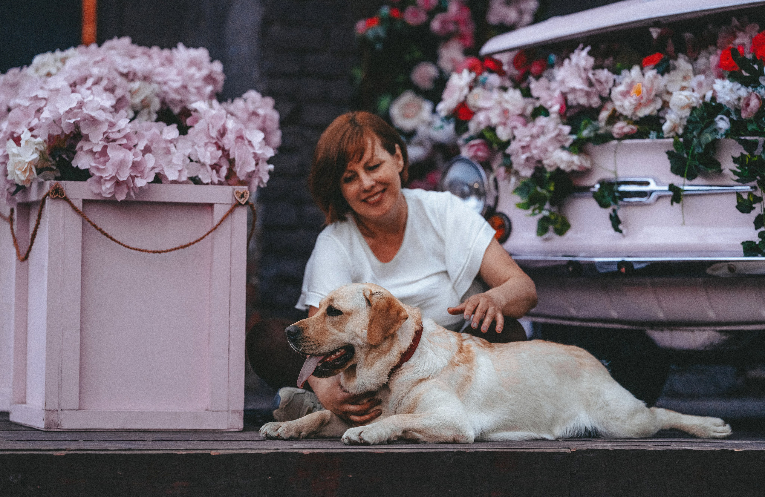 Фотосъёмка с вашими питомцами. Фотограф анималист в Спб недорого Олеся Майорова
