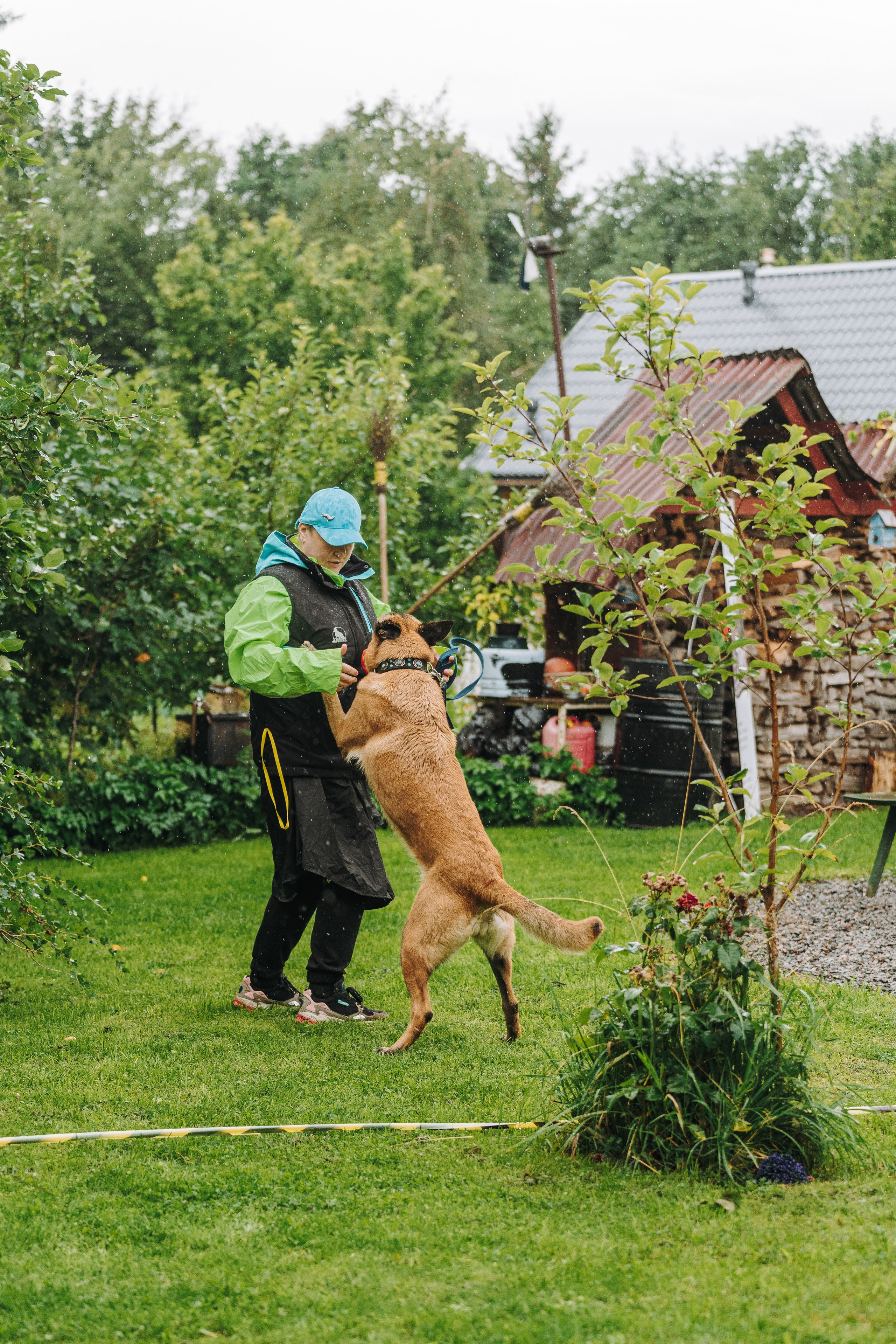 Соревнования по ноузворку в Новожилово. Фотограф анималист в Спб недорого Олеся Майорова