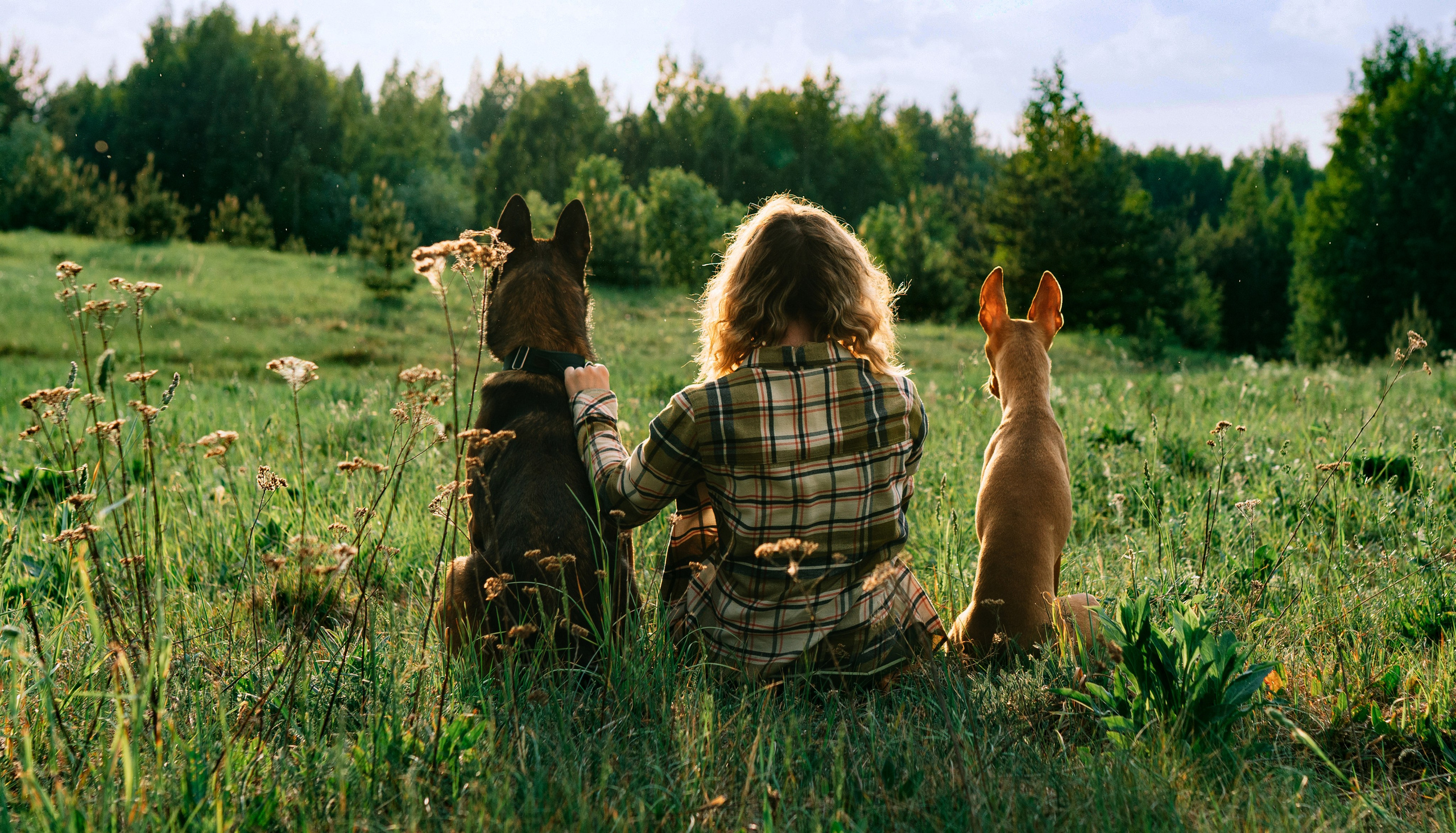 Фотоссесия с двумя собакми Спб. Фотограф анималист в Спб недорого Олеся Майорова