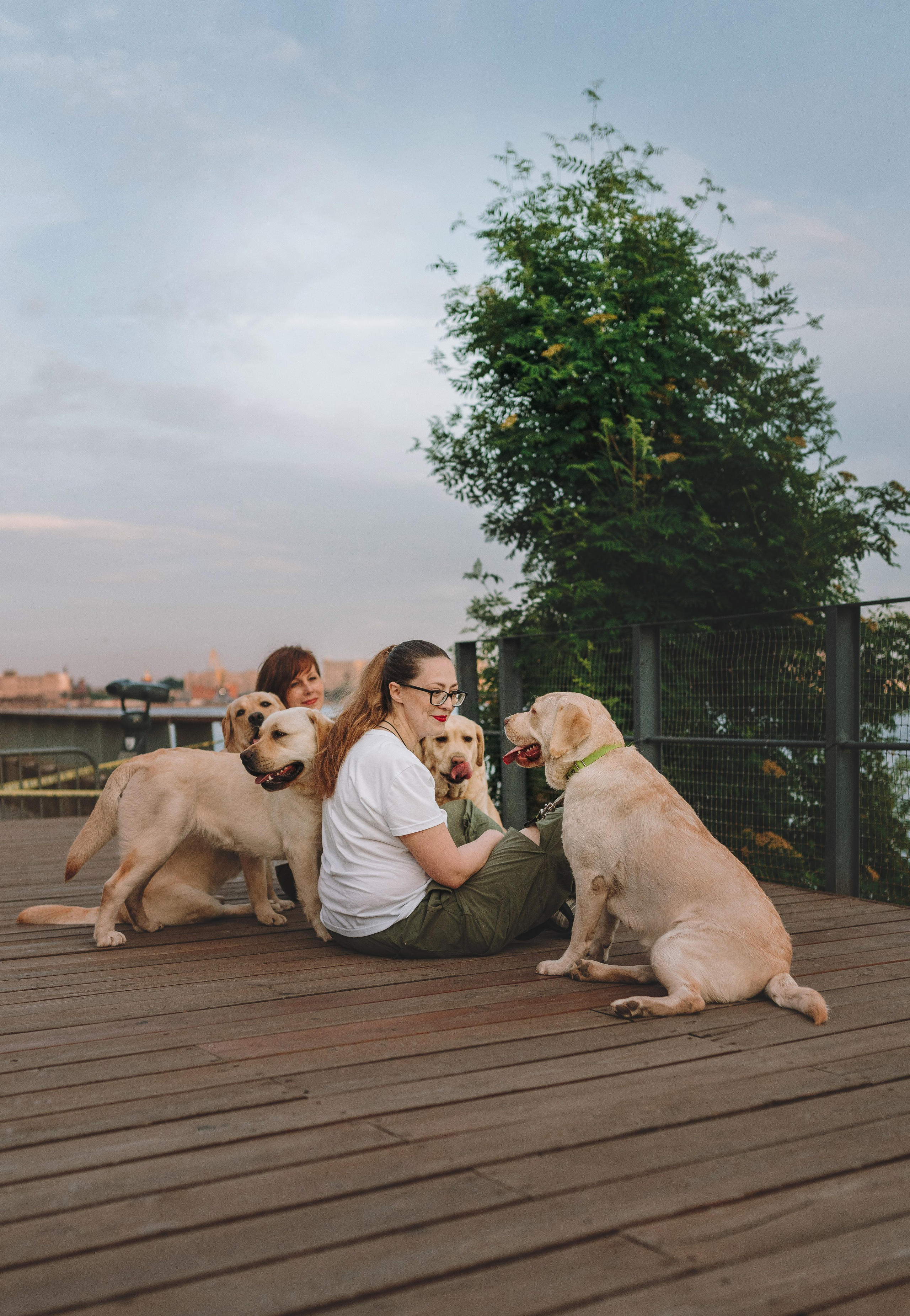 Фотосъёмка с вашими питомцами. Фотограф анималист в Спб недорого Олеся Майорова