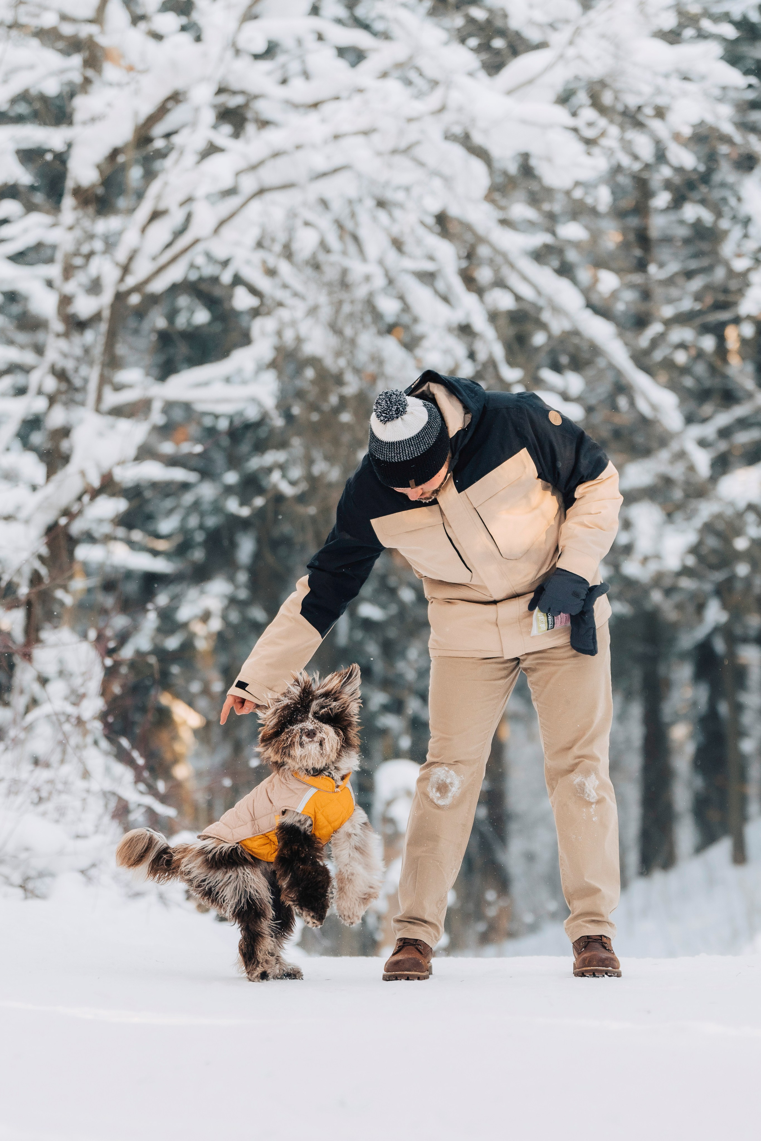 Хэйзел и её семья. Фотограф анималист в Спб недорого Олеся Майорова