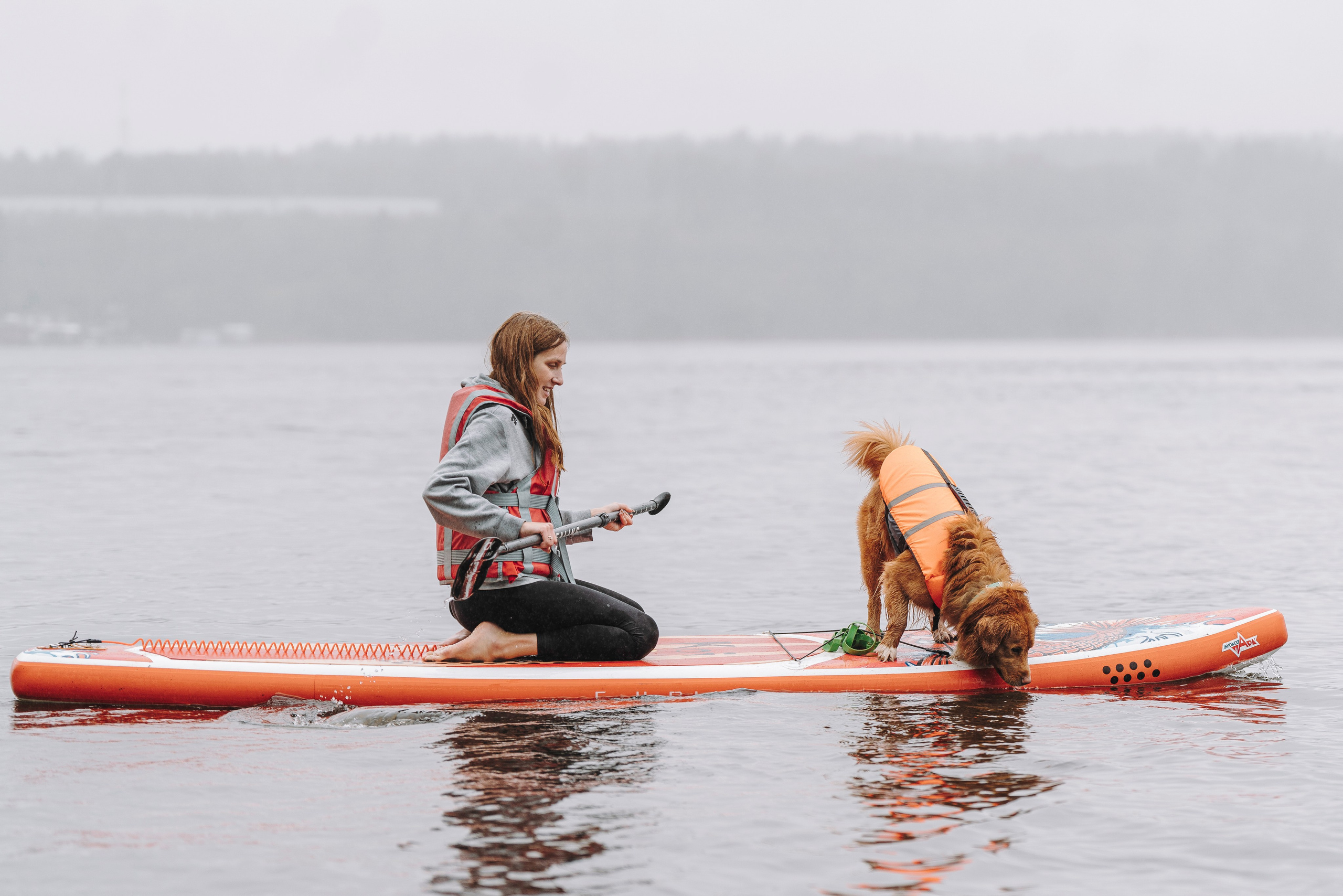 Катание на сапах с собаками. Фотограф анималист в Спб недорого Олеся Майорова