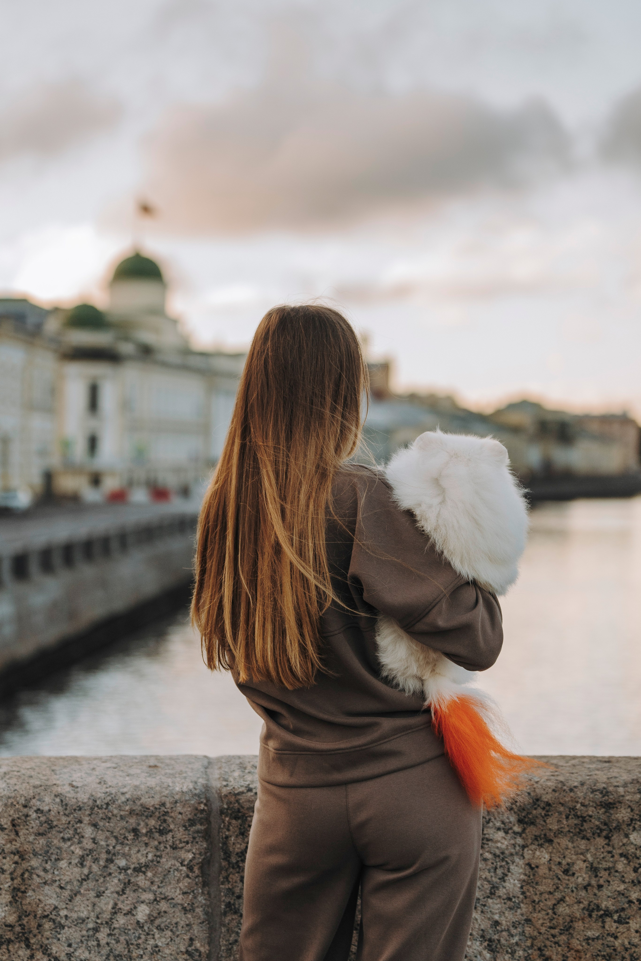 Фотосессия с померанским шпицем. Фотограф анималист в Спб недорого Олеся Майорова