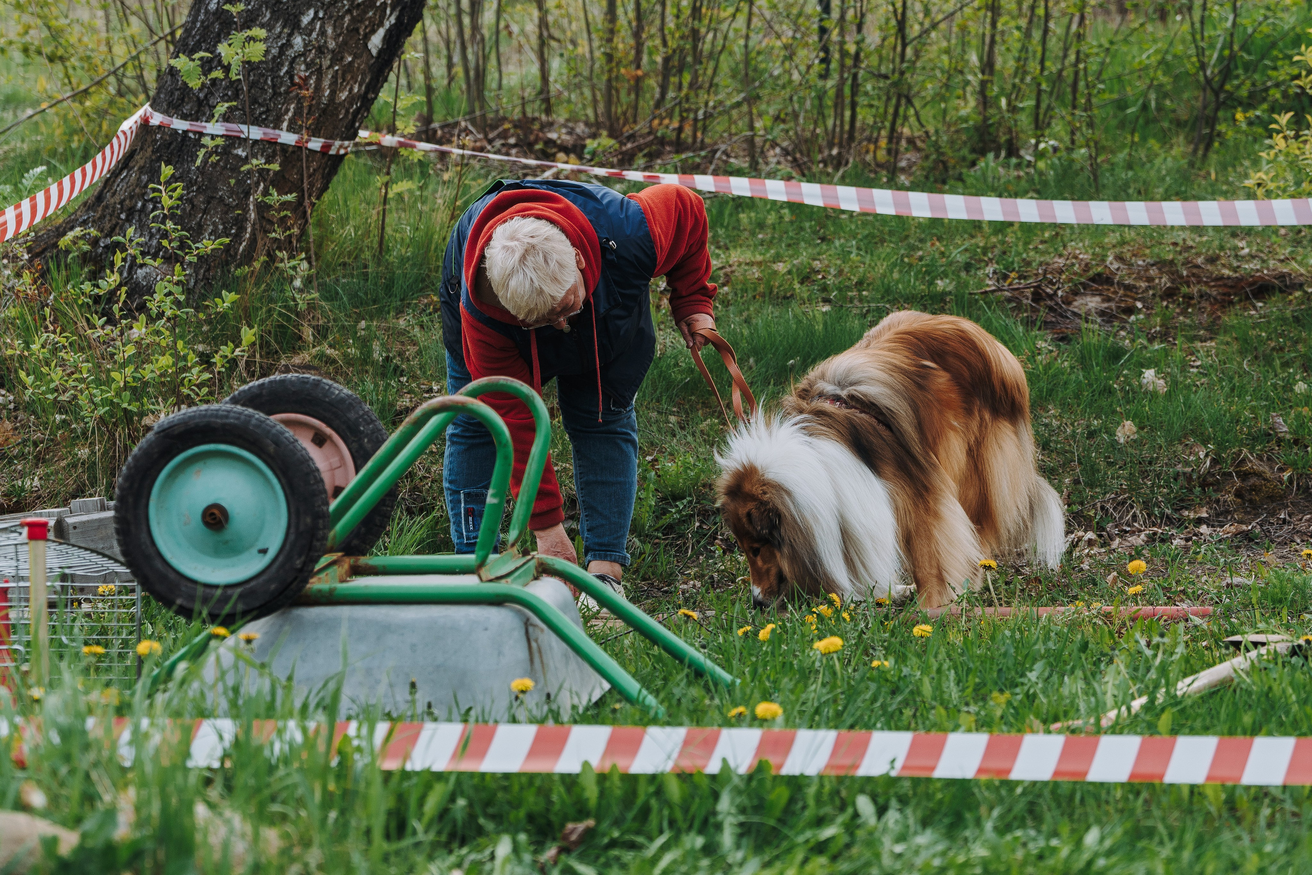 Соревнования по ноузворку в Лосево. Фотограф анималист в Спб недорого Олеся Майорова