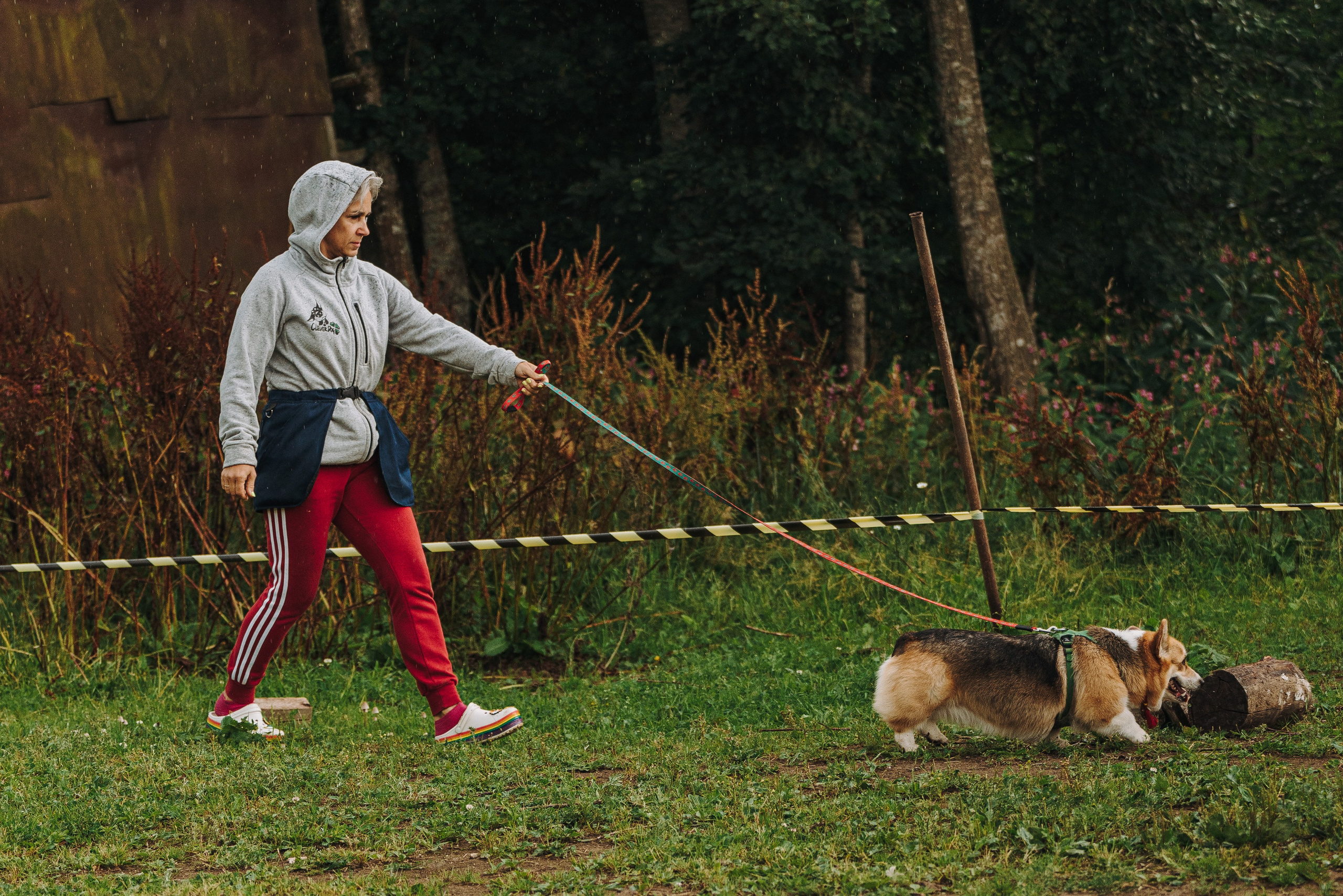 Соревнования по ноузворку в Новожилово. Фотограф анималист в Спб недорого Олеся Майорова