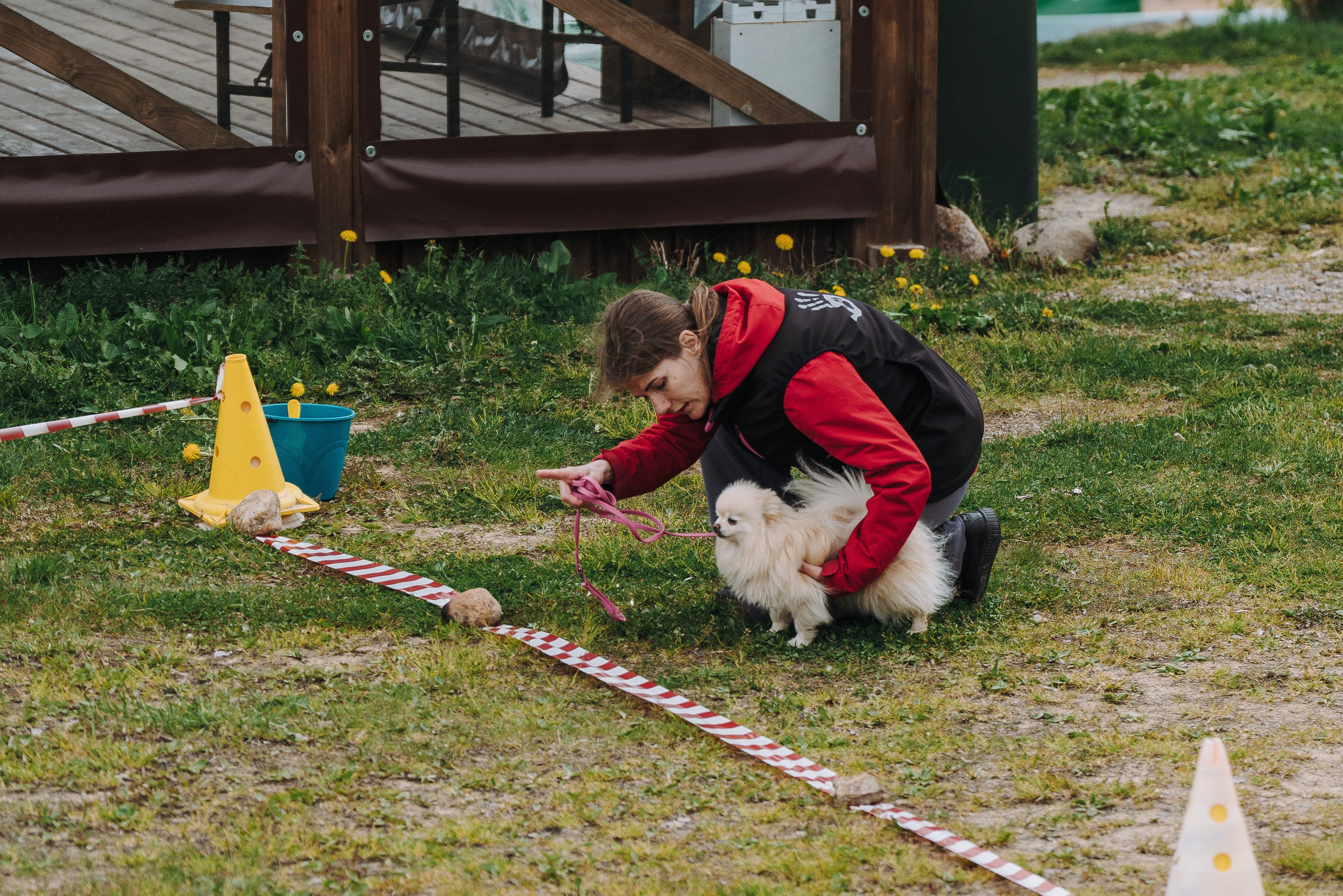 Соревнования по ноузворку в Лосево. Фотограф анималист в Спб недорого Олеся Майорова