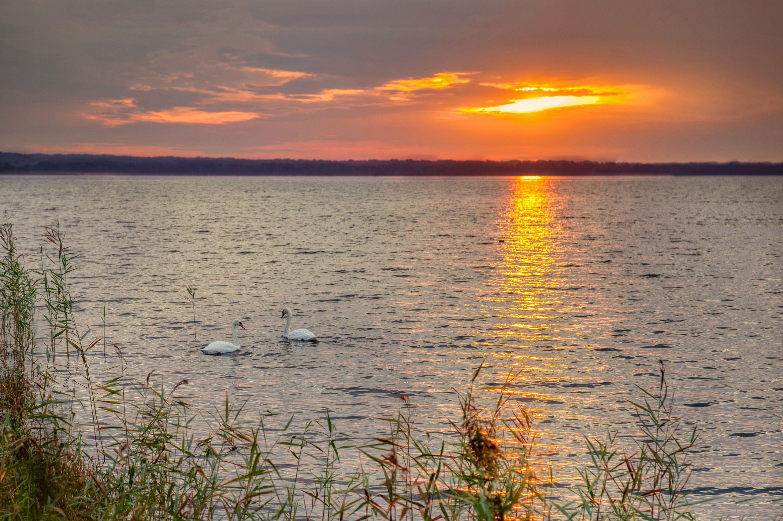 Озеро Нарочь. Беларусь.
