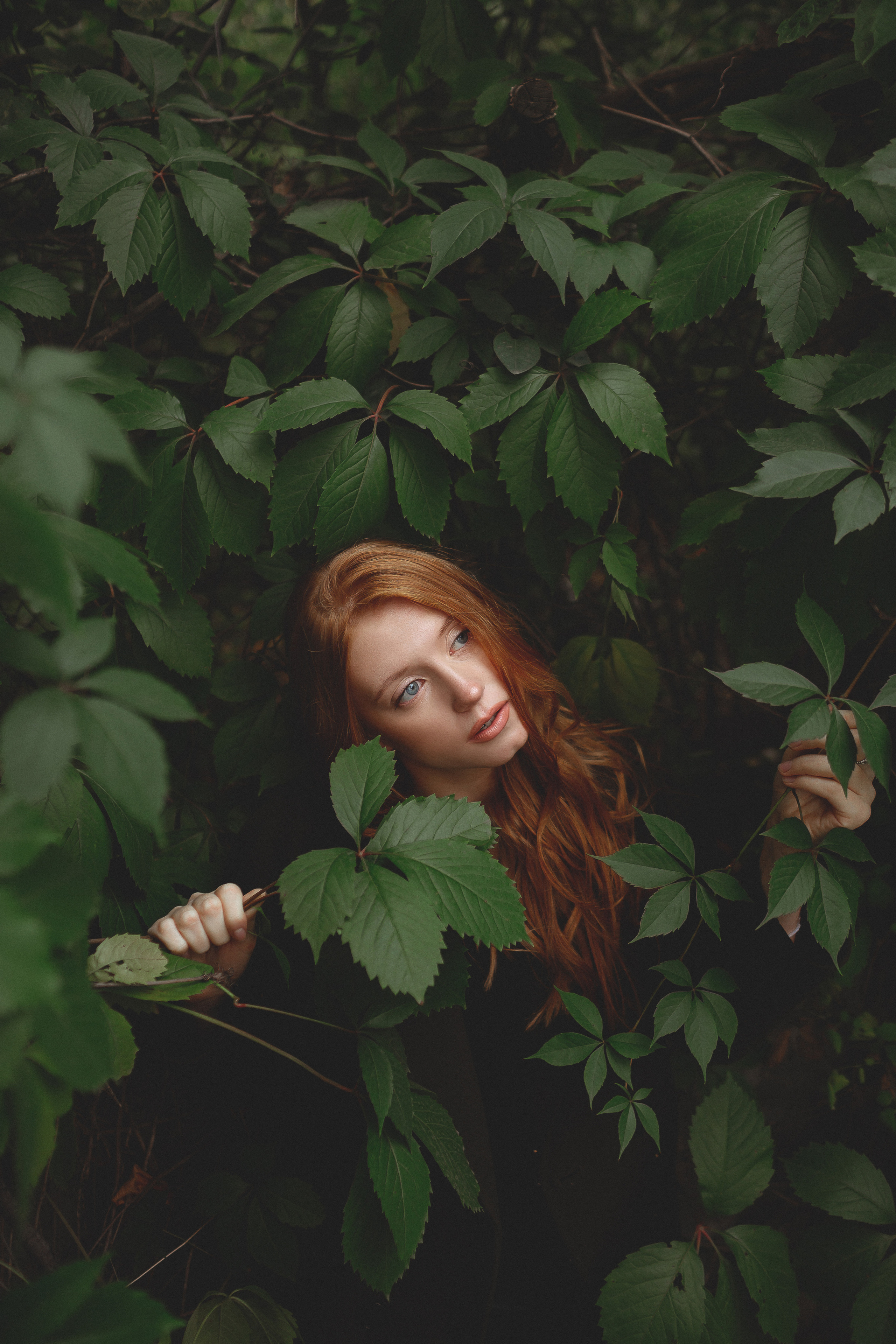 Душа леса. Свадебный и семейный фотограф в Воронеже Кирсанова Наталья