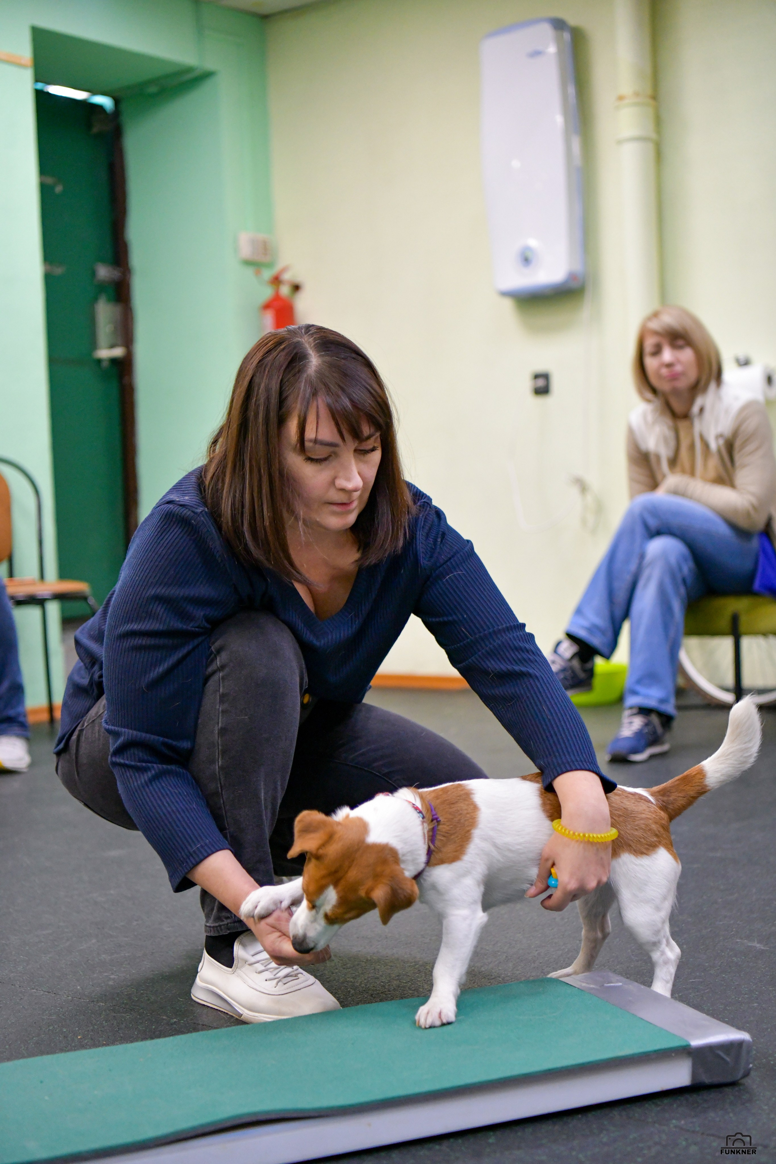 Кинологический клуб «Бодрый хвост». Свой взгляд через объектив