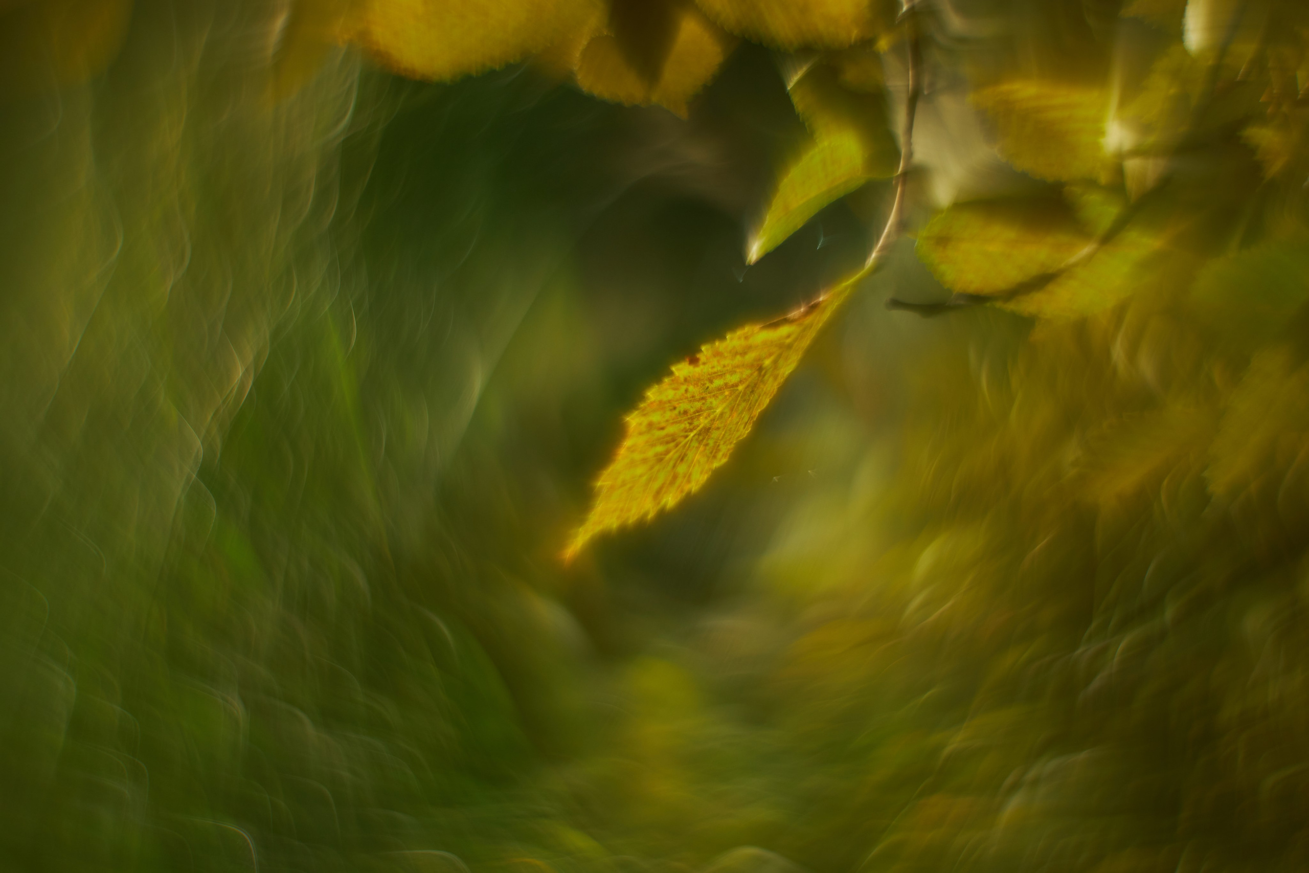 «Незримые Миры». Арт-фотограф во Владивостоке Дмитрий Осипчук