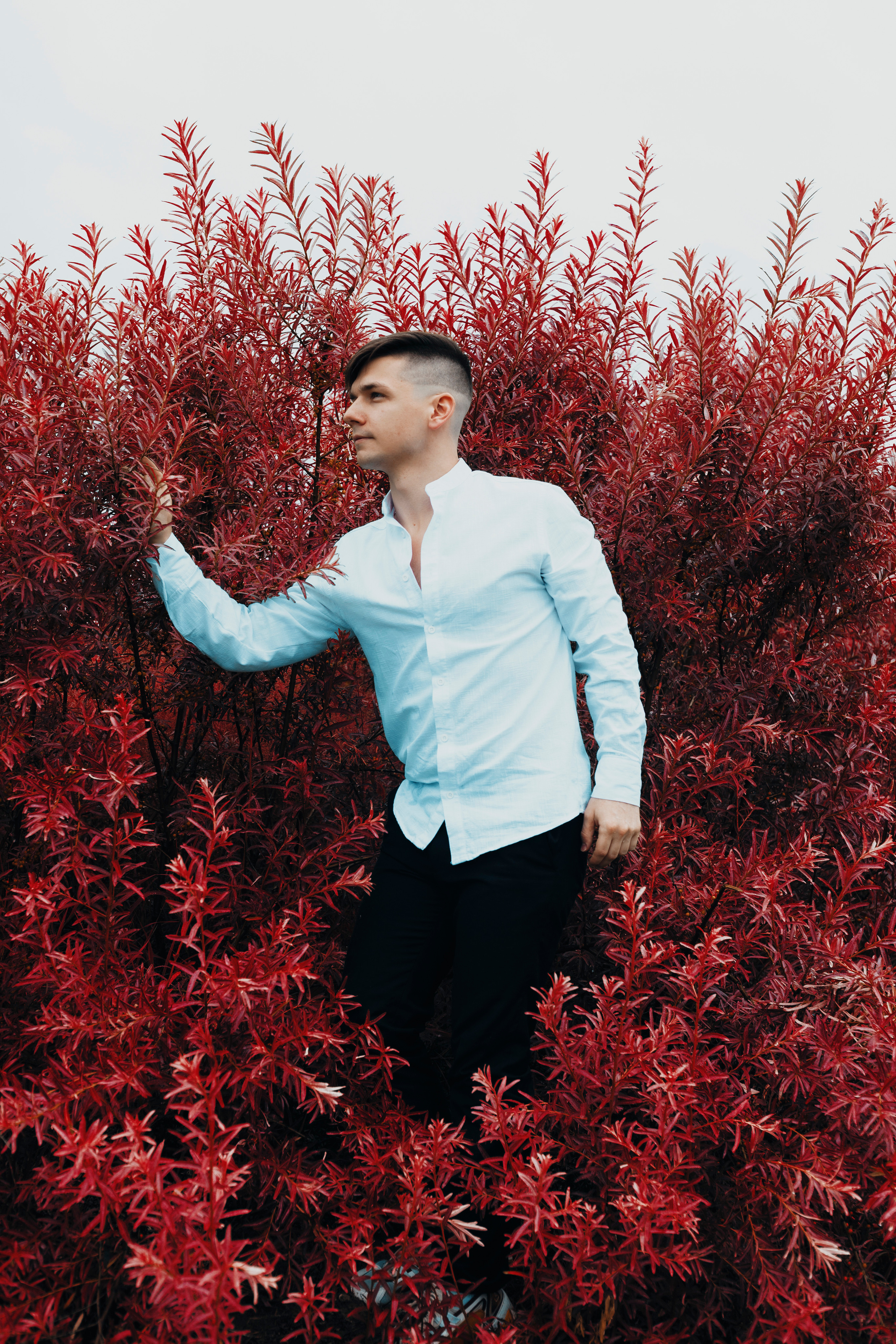 Посмотреть проще, чем объяснить. ALFEROV PHOTOGRAPHER | Портреты, свет и живые моменты