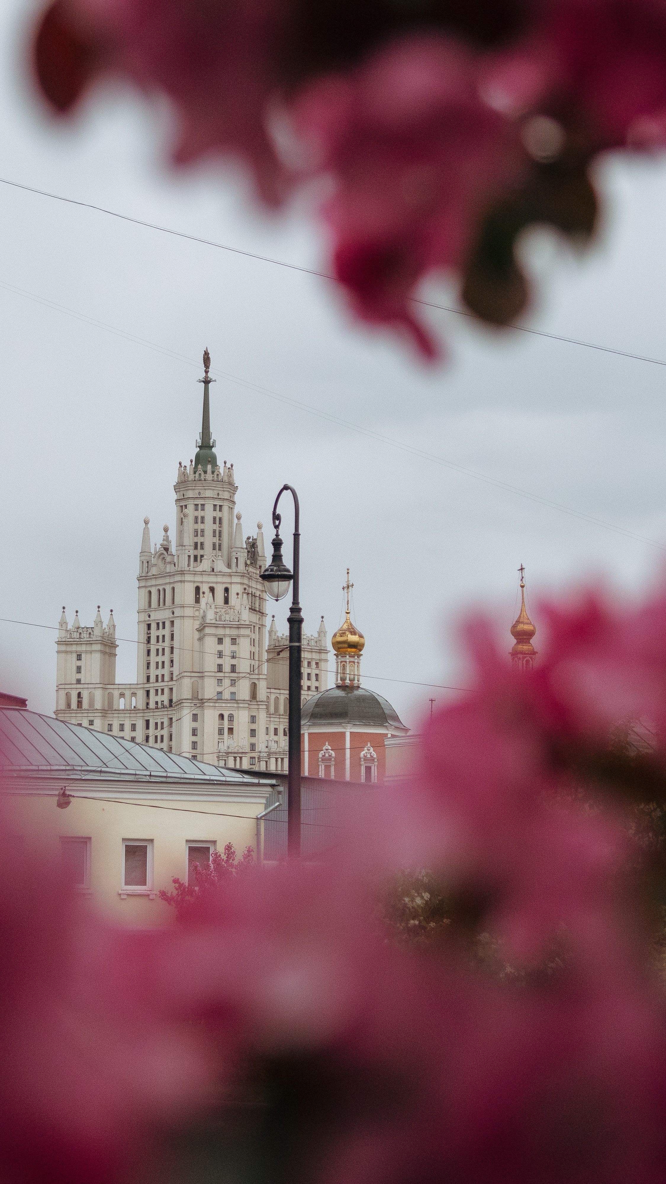 Обои на телефон. Семейный и детский фотограф в Москве