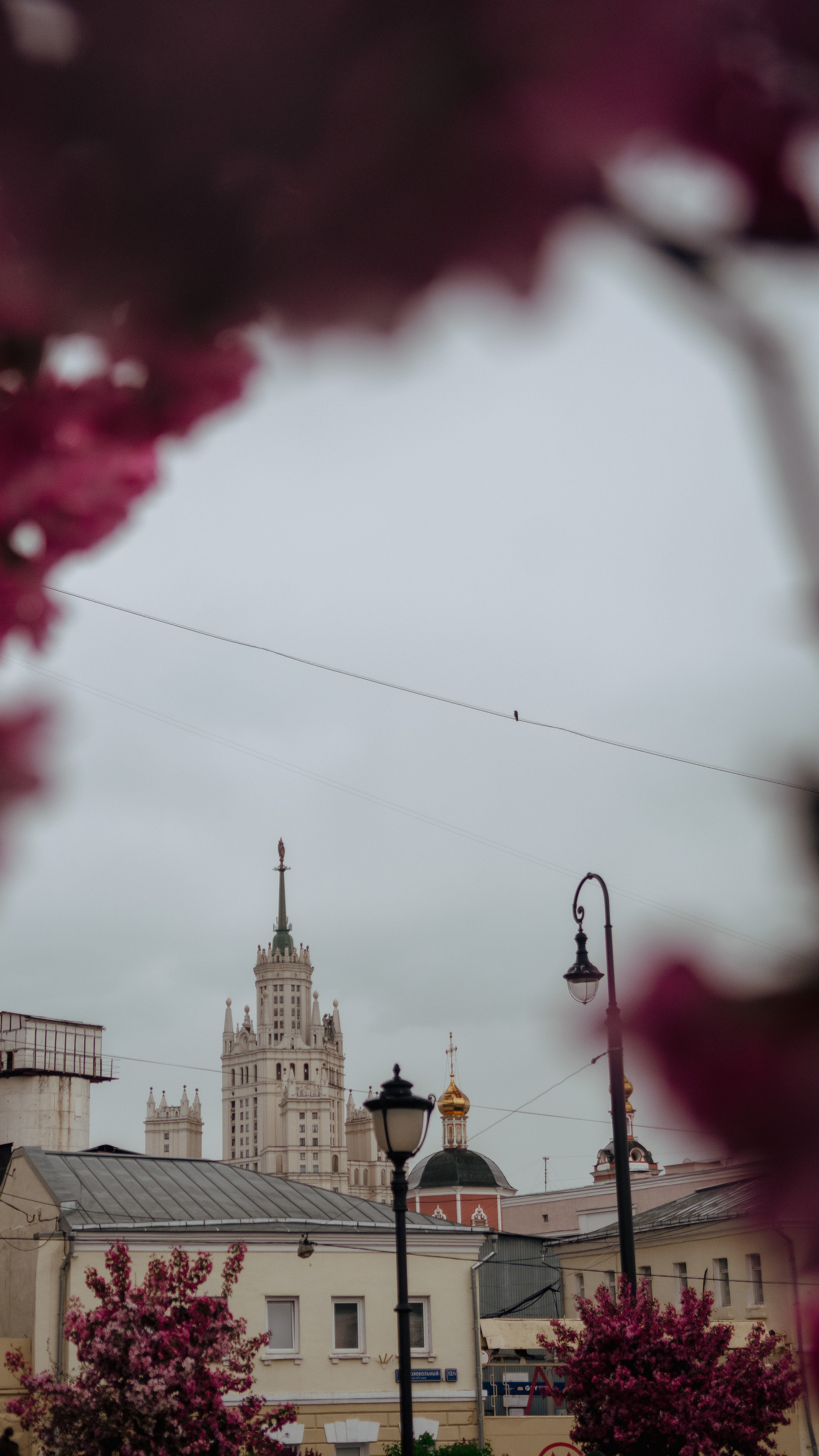 Обои на телефон. Семейный и детский фотограф в Москве