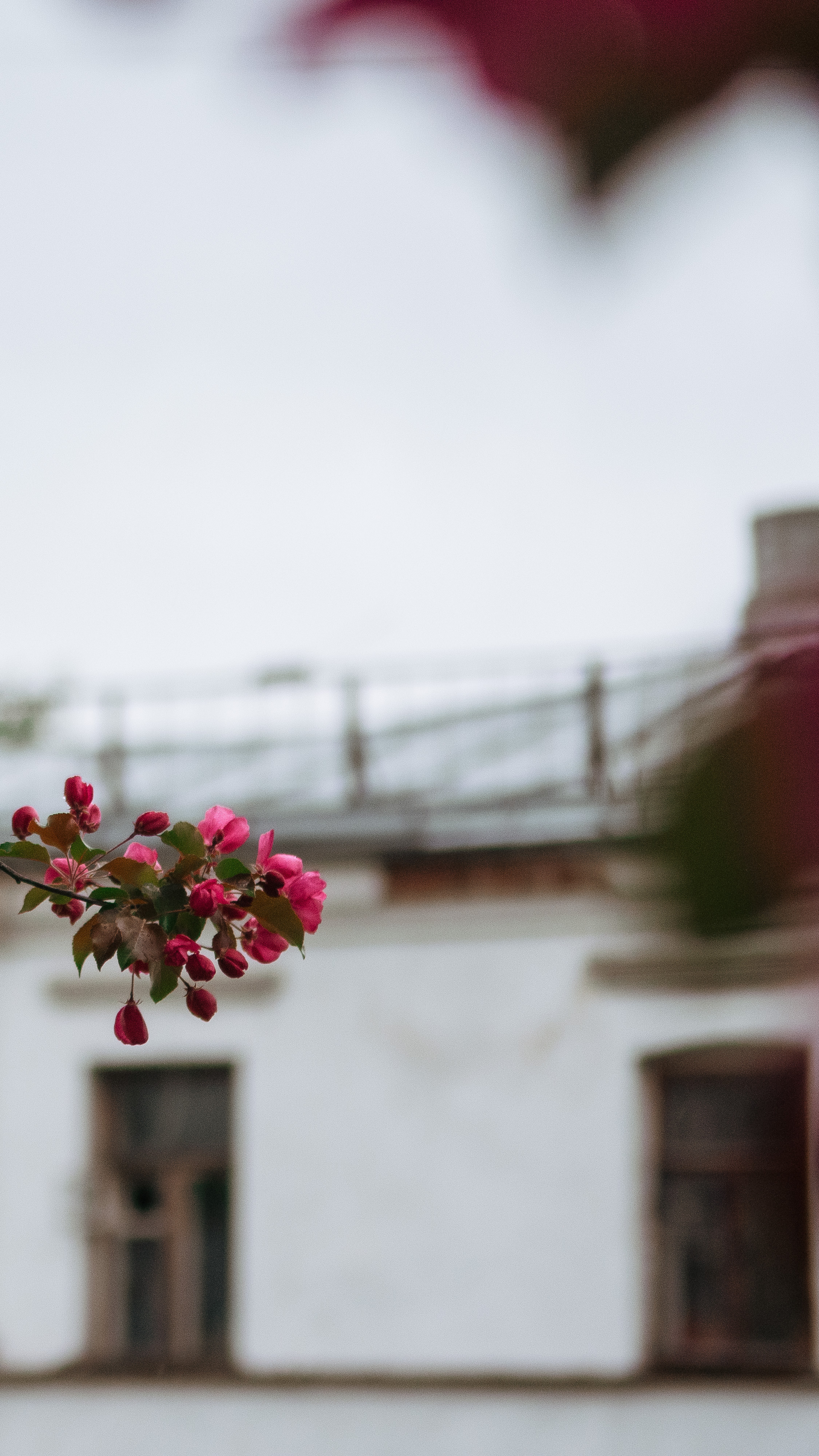 Обои на телефон. Семейный и детский фотограф в Москве