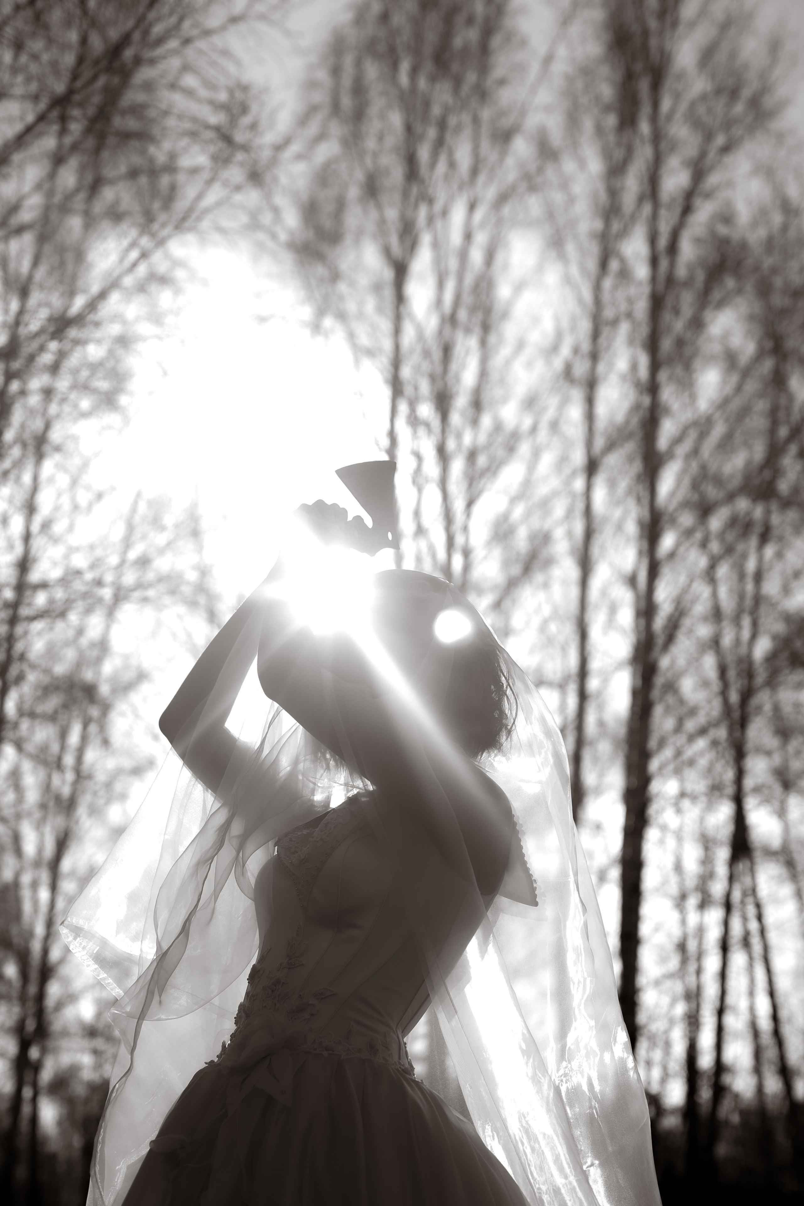 В ожидании Halloween. Art my Pho