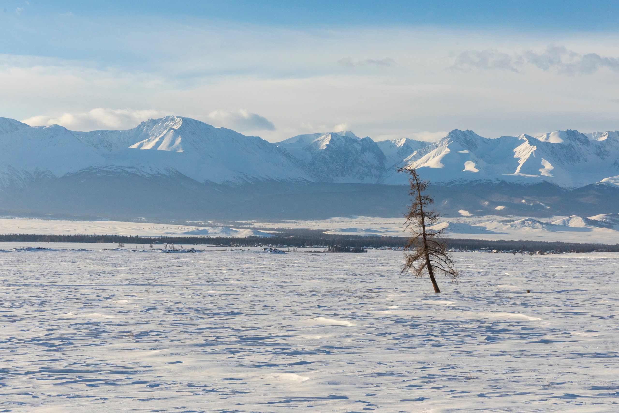 Алтай в декабре. Марина Захарова — Фотограф. Москва / Marina Zakharova — Photographer