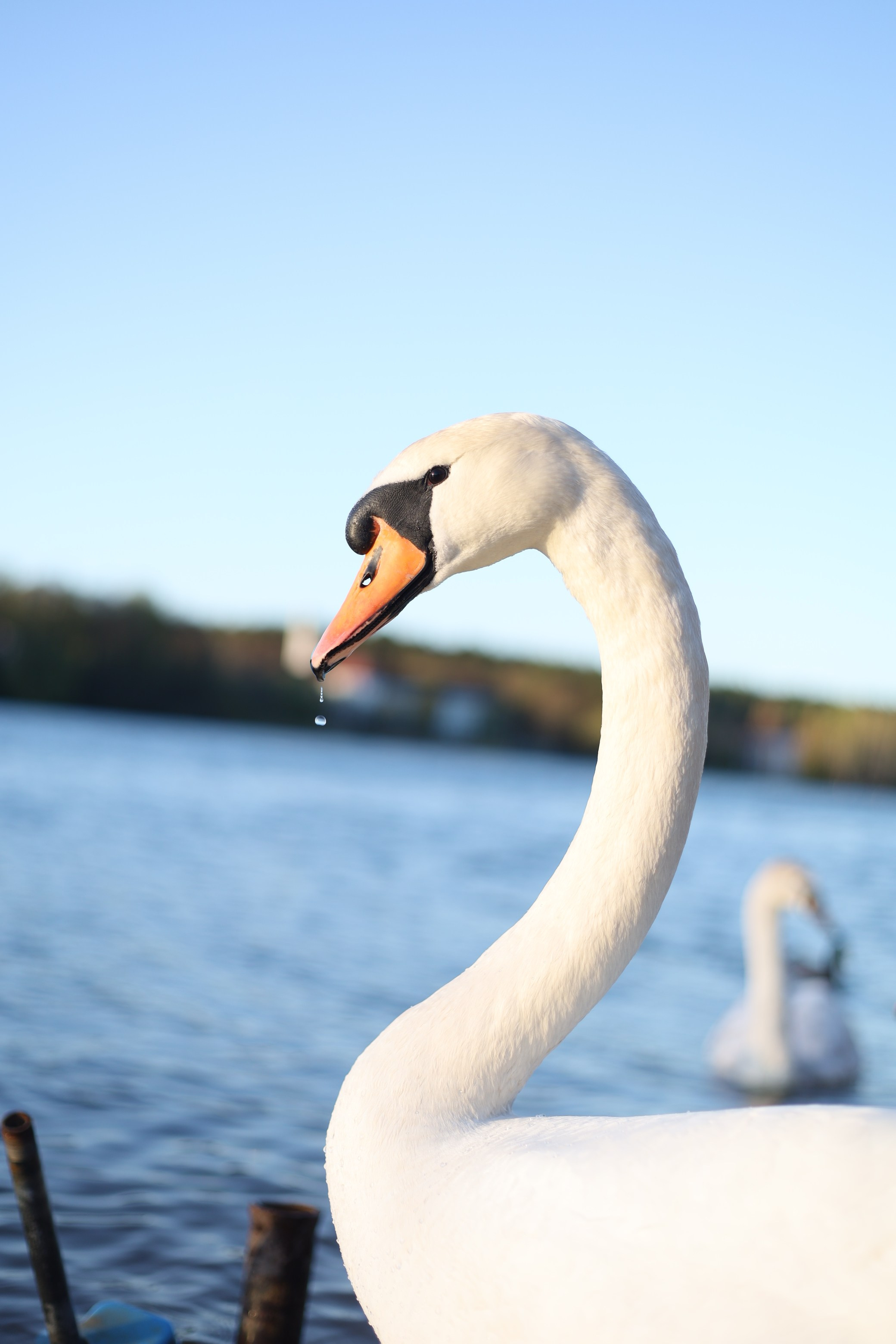 Nature. Street photographer Ksenya Loboda