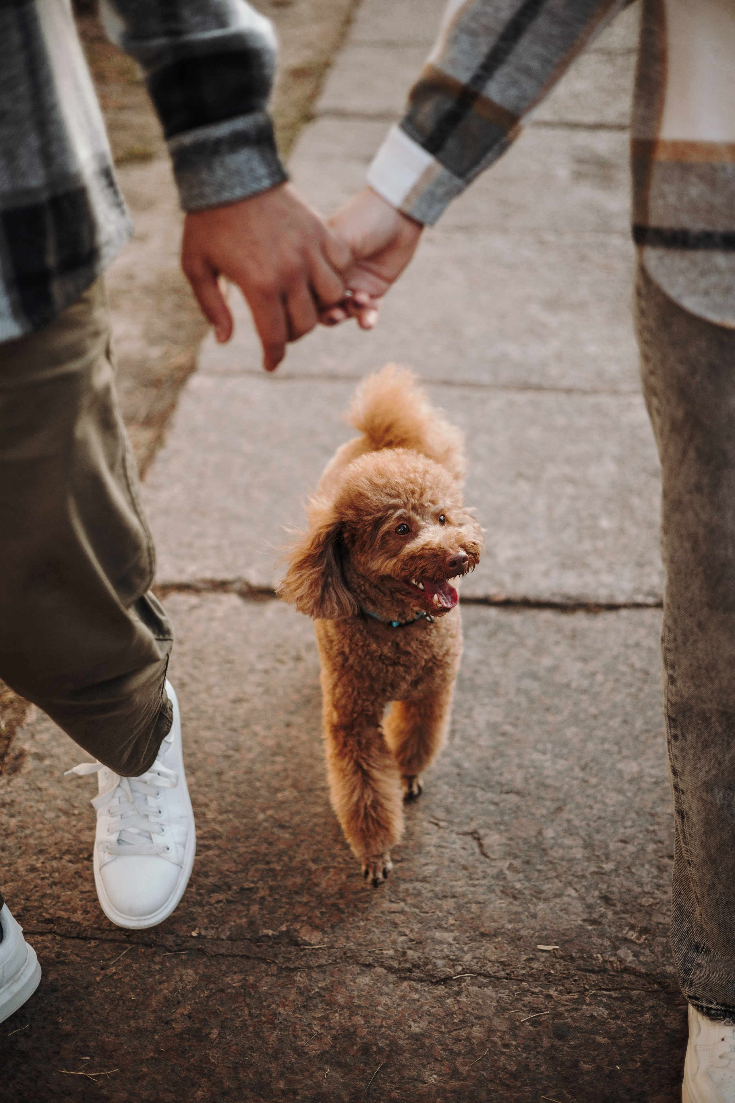 Барни и его семья. Фотограф — Анималист | Санкт-Петербург