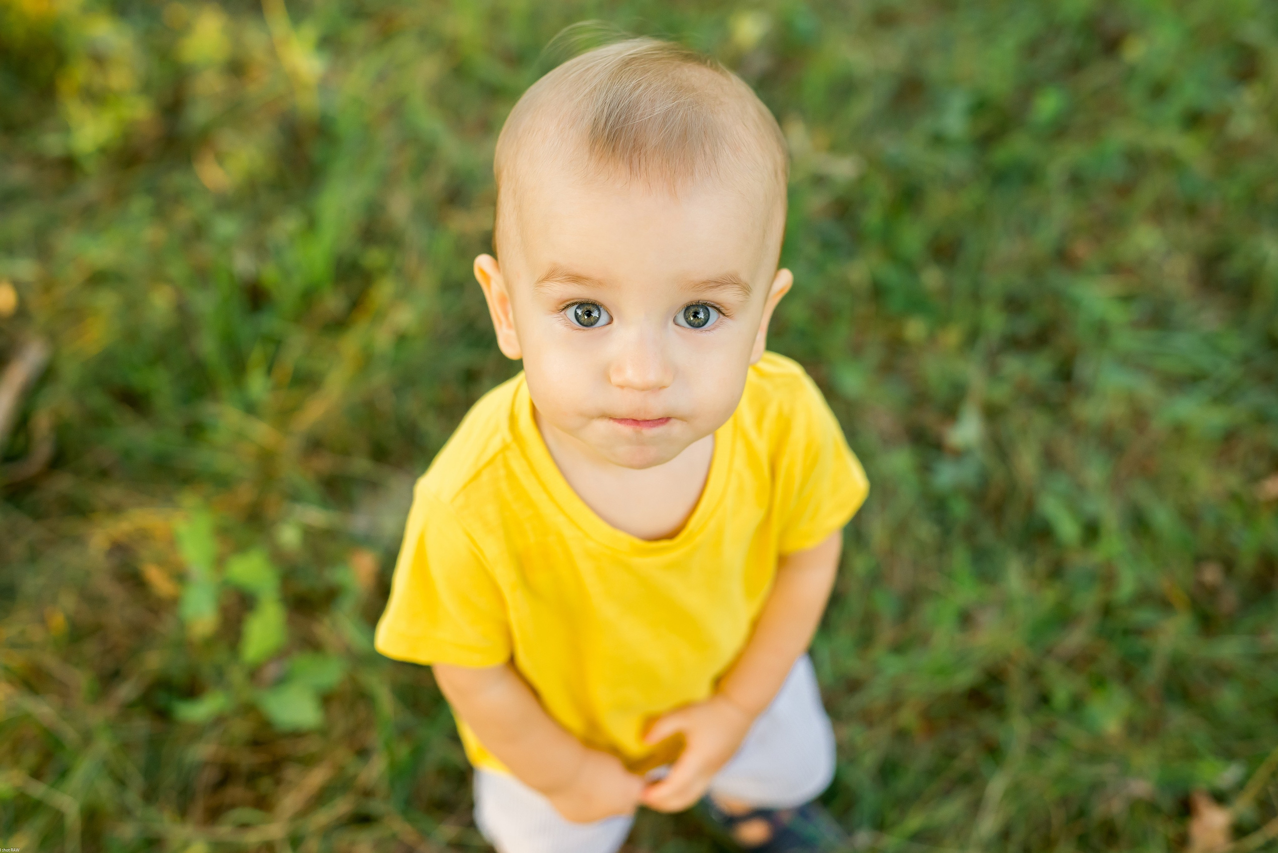 Саша, Наташа и маленький Савва. Свадебный фотограф в Рязани Вагнер Владимир