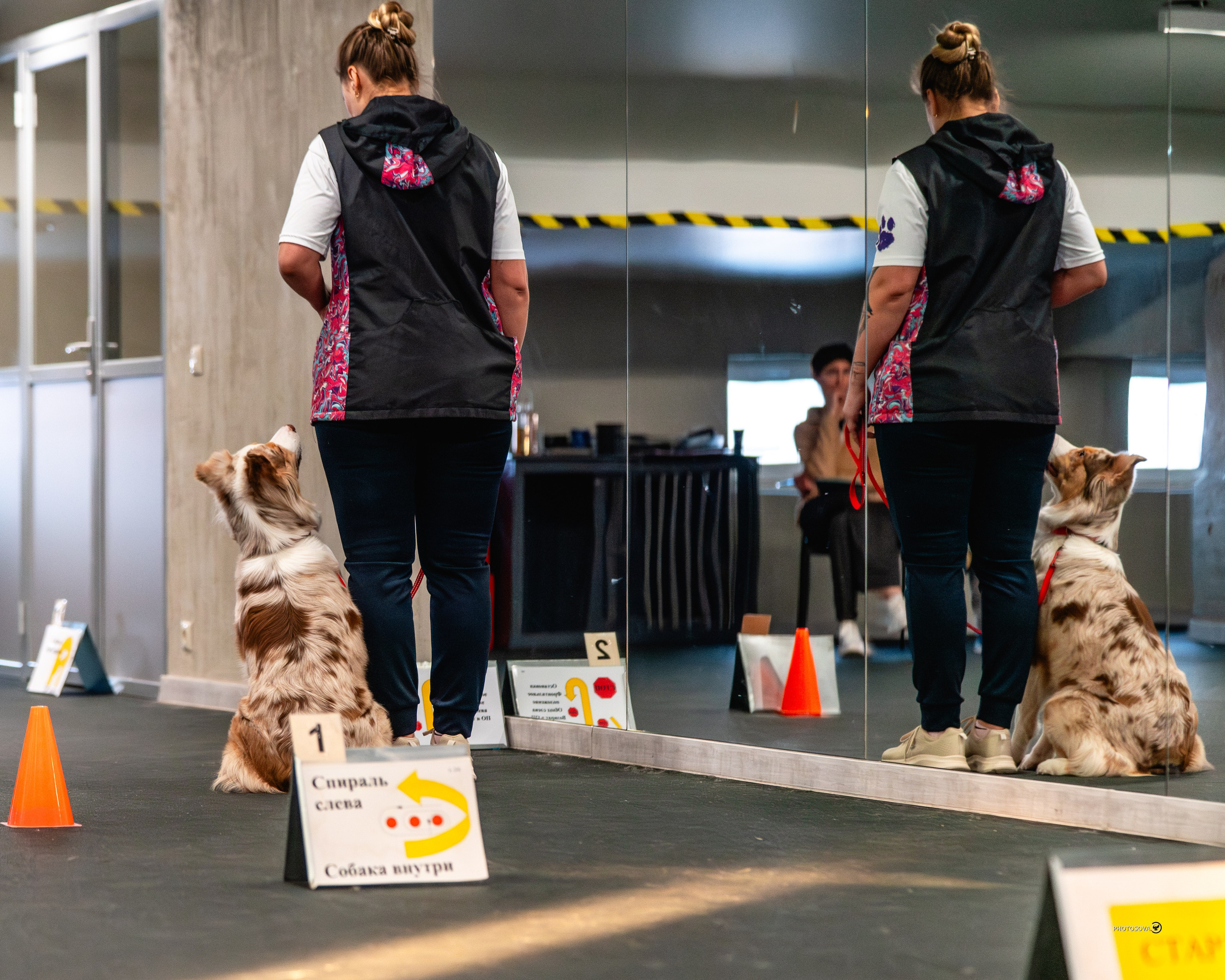 ТЫ И Я (соревнования по ралли-обидиенс). Фотограф-анималист, семейный фотограф в Москве и Подмосковье. Фотосъёмка кинологических дисциплин